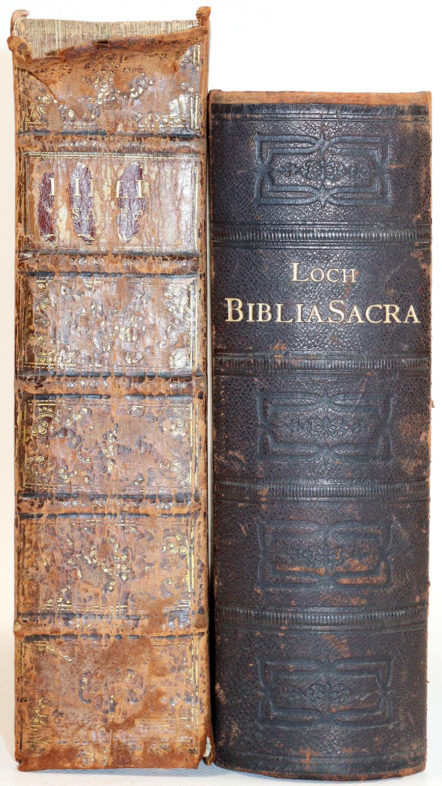 Biblia germanica. | Bild Nr.2