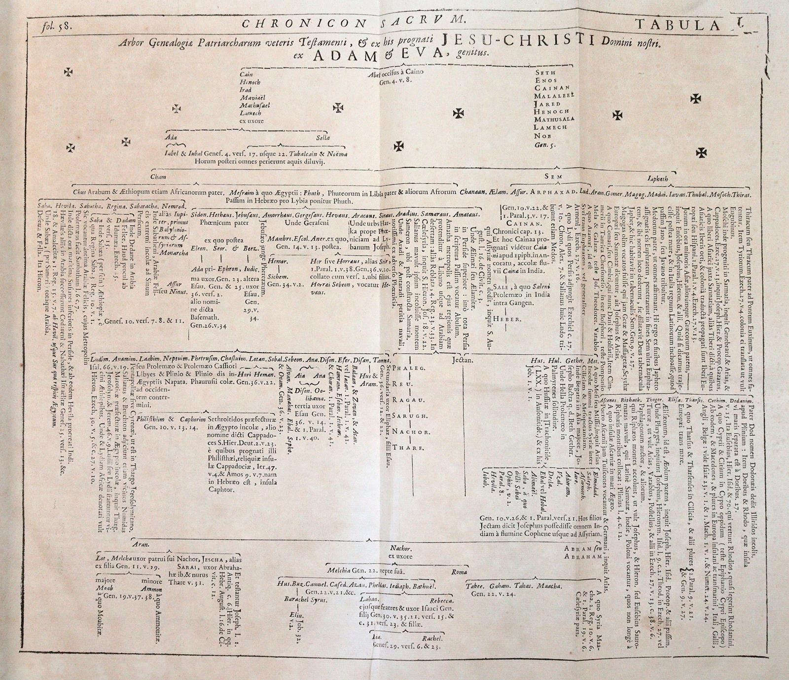 Tirinus,J. | Bild Nr.2