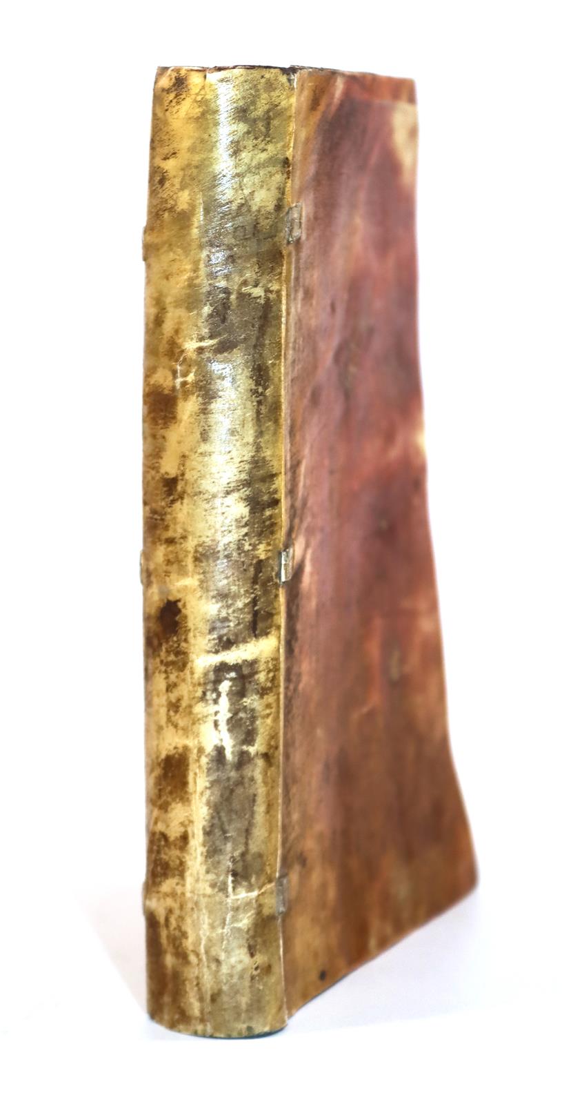 Catechismus | Bild Nr.2