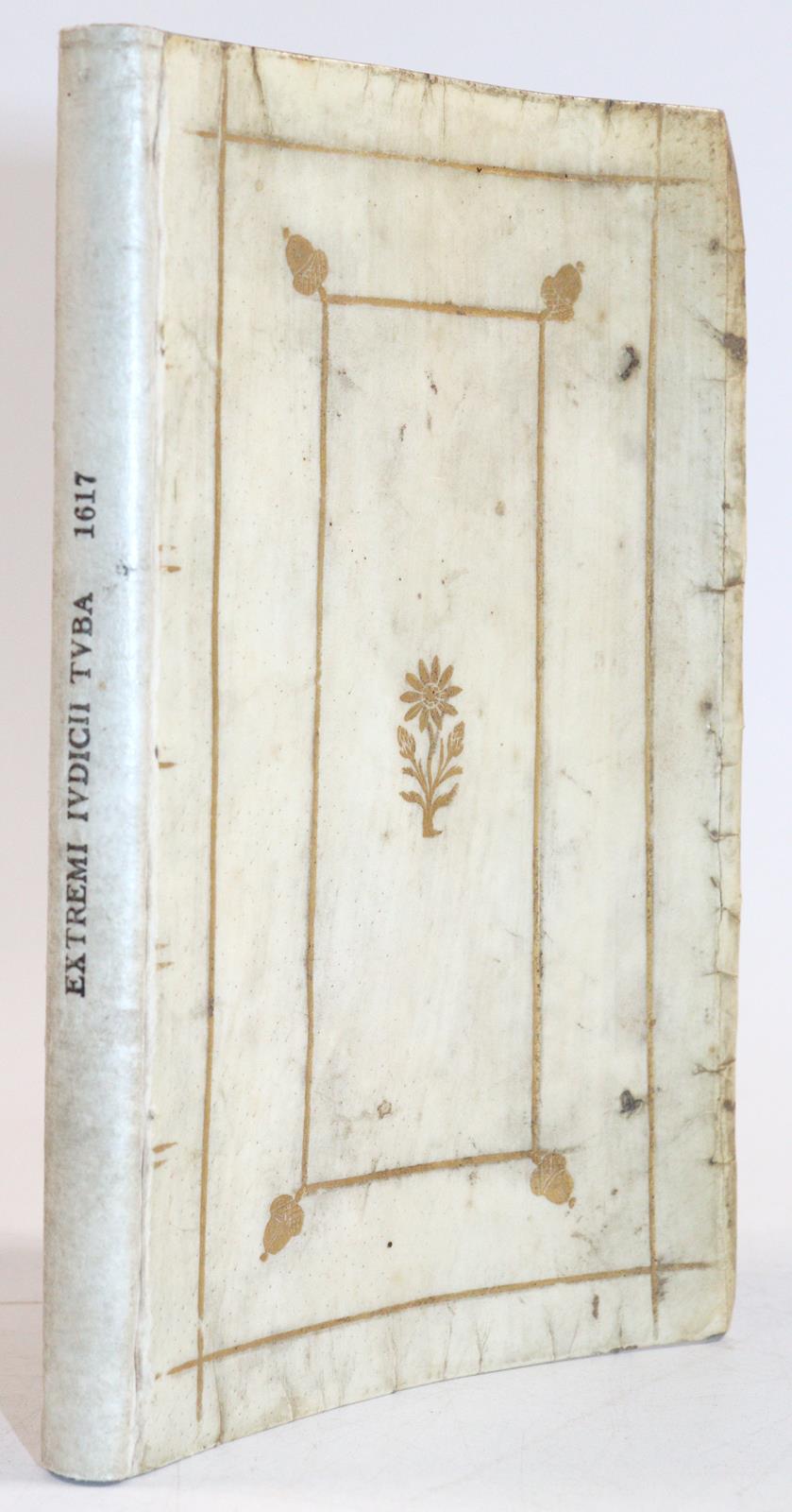 Draxe,T. | Bild Nr.2