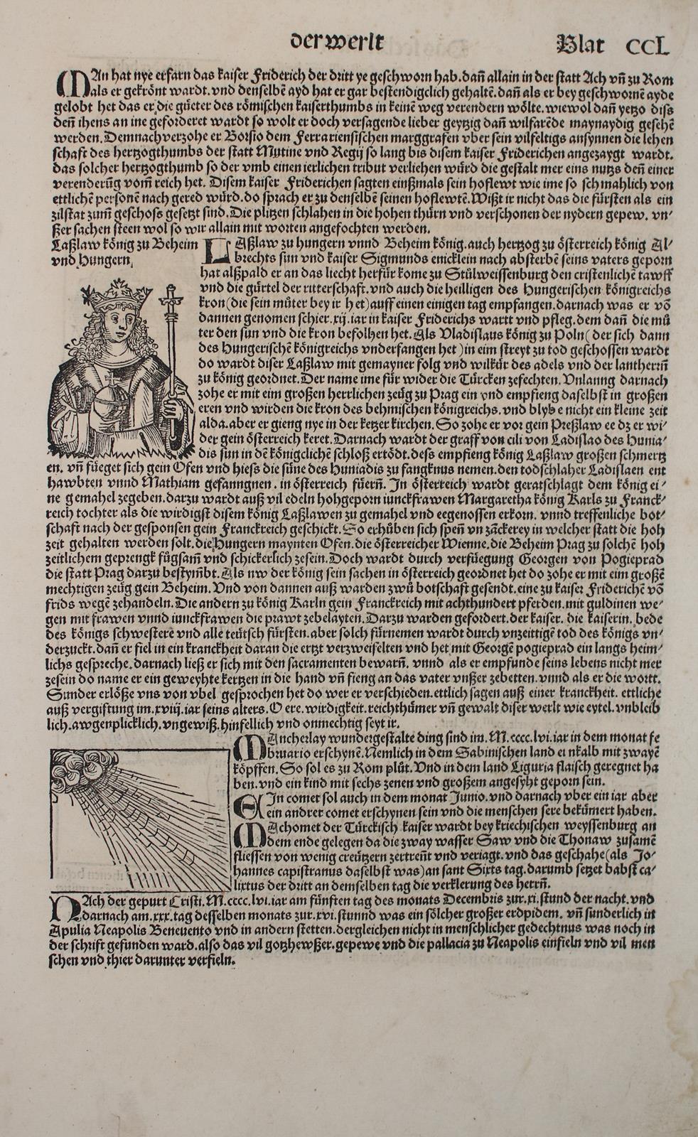 Einzelblätter. | Bild Nr.7