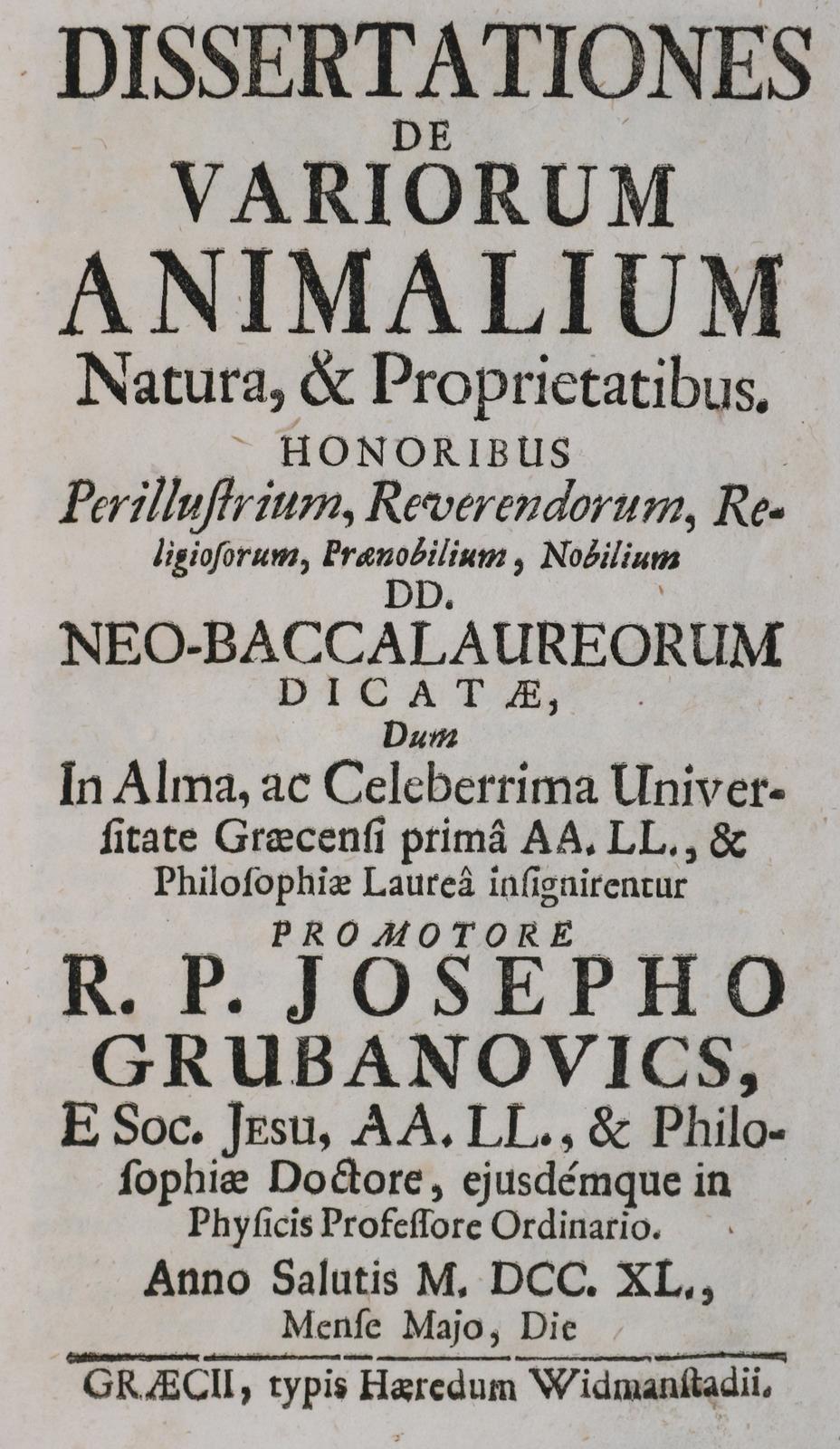 Grubanovics,J. | Bild Nr.1