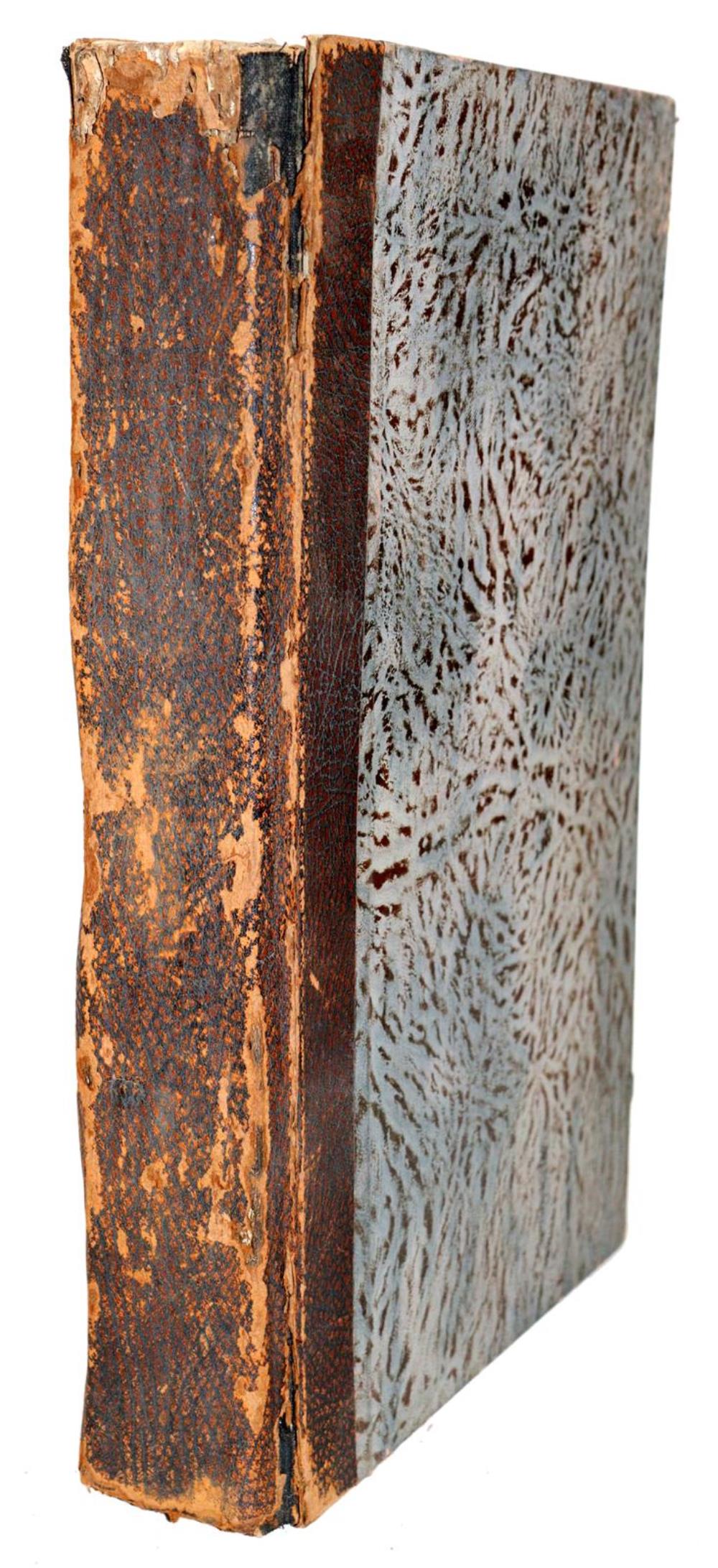 Lauro,G. | Bild Nr.2