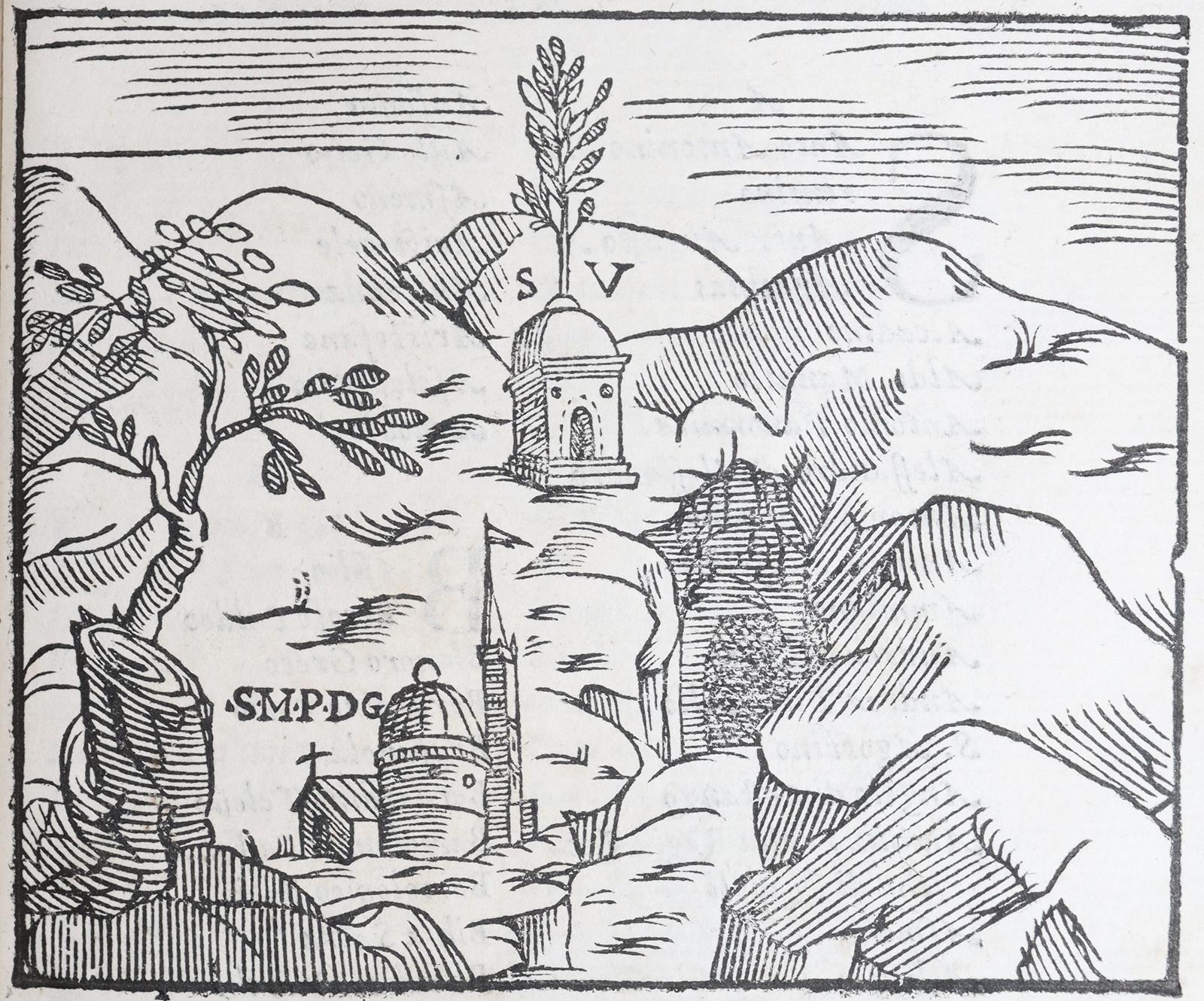 Mazzella,S. | Bild Nr.3