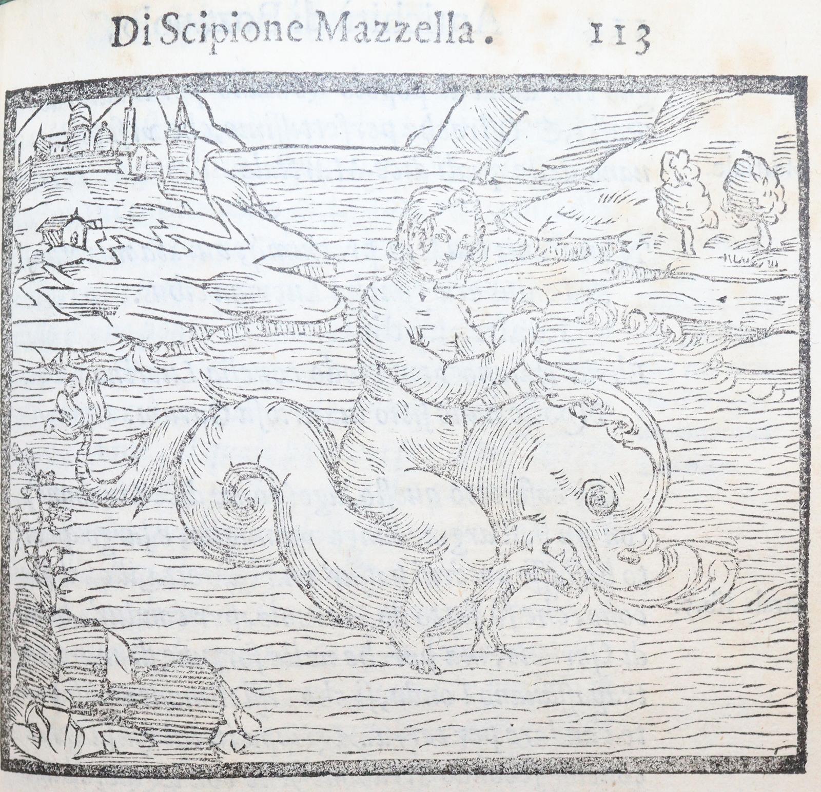 Mazzella,S. | Bild Nr.9