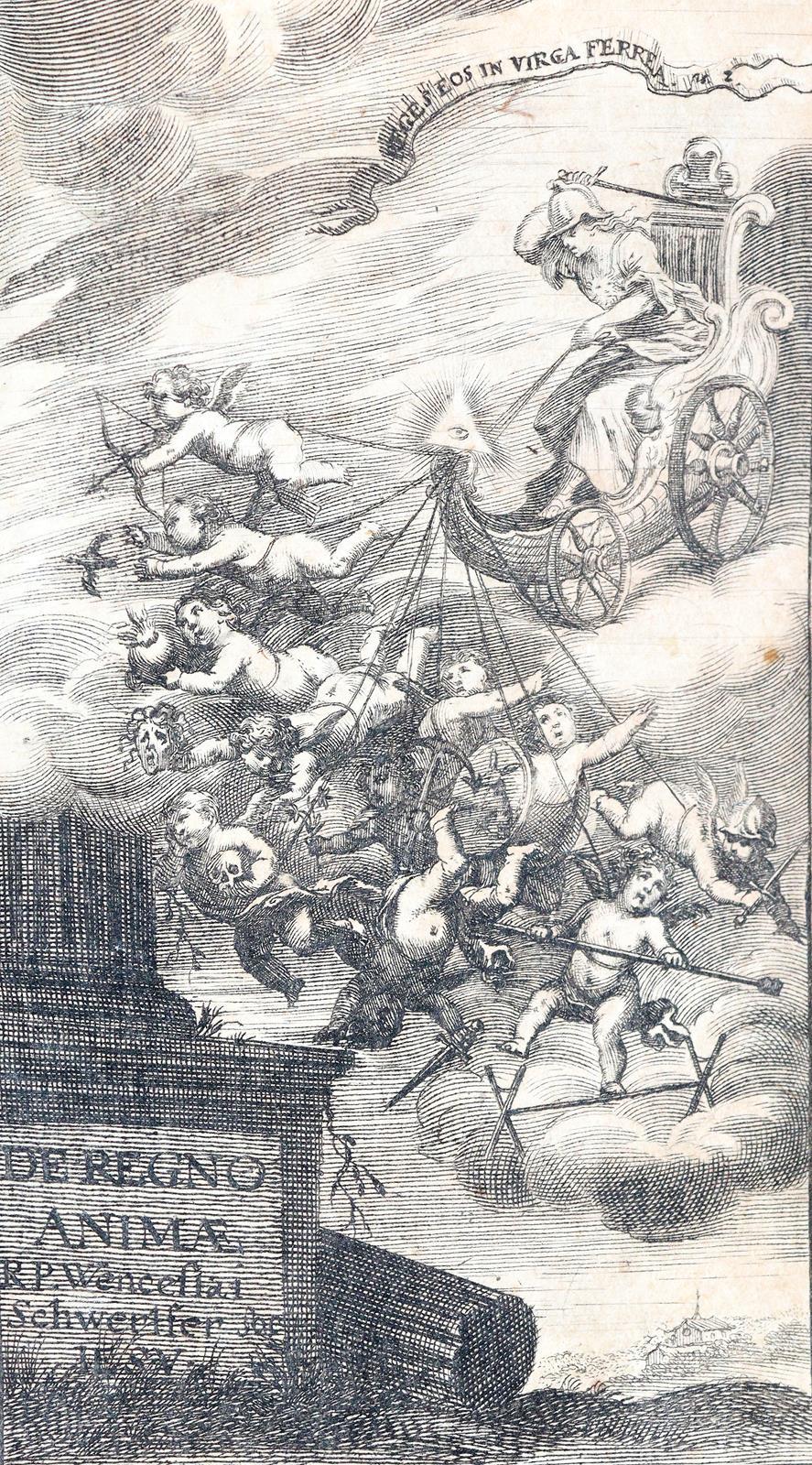 Sommer,Z. | Bild Nr.2