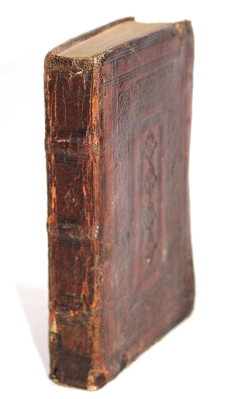 Vegetius Renatus,F. | Bild Nr.2