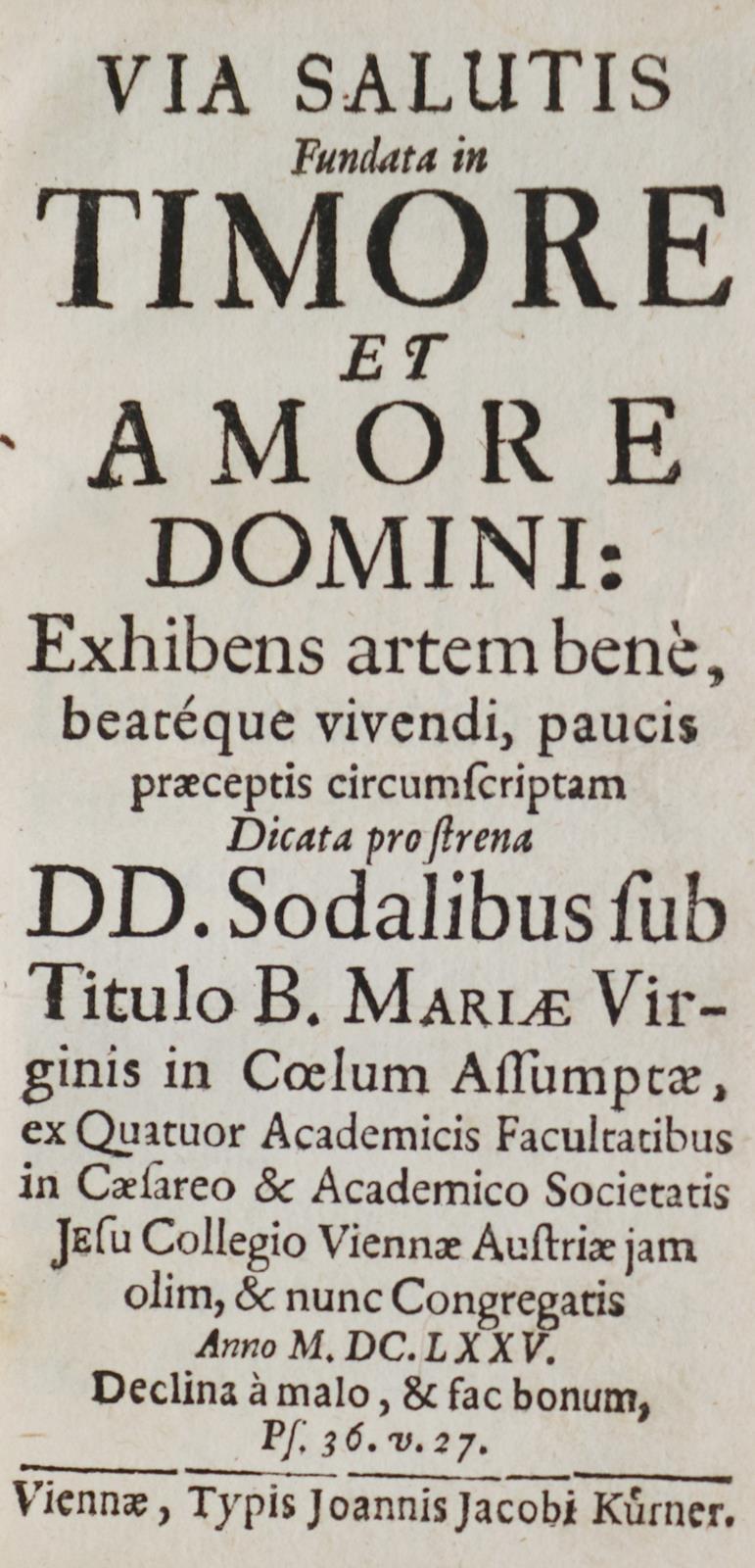 Via salutis fundata | Bild Nr.1