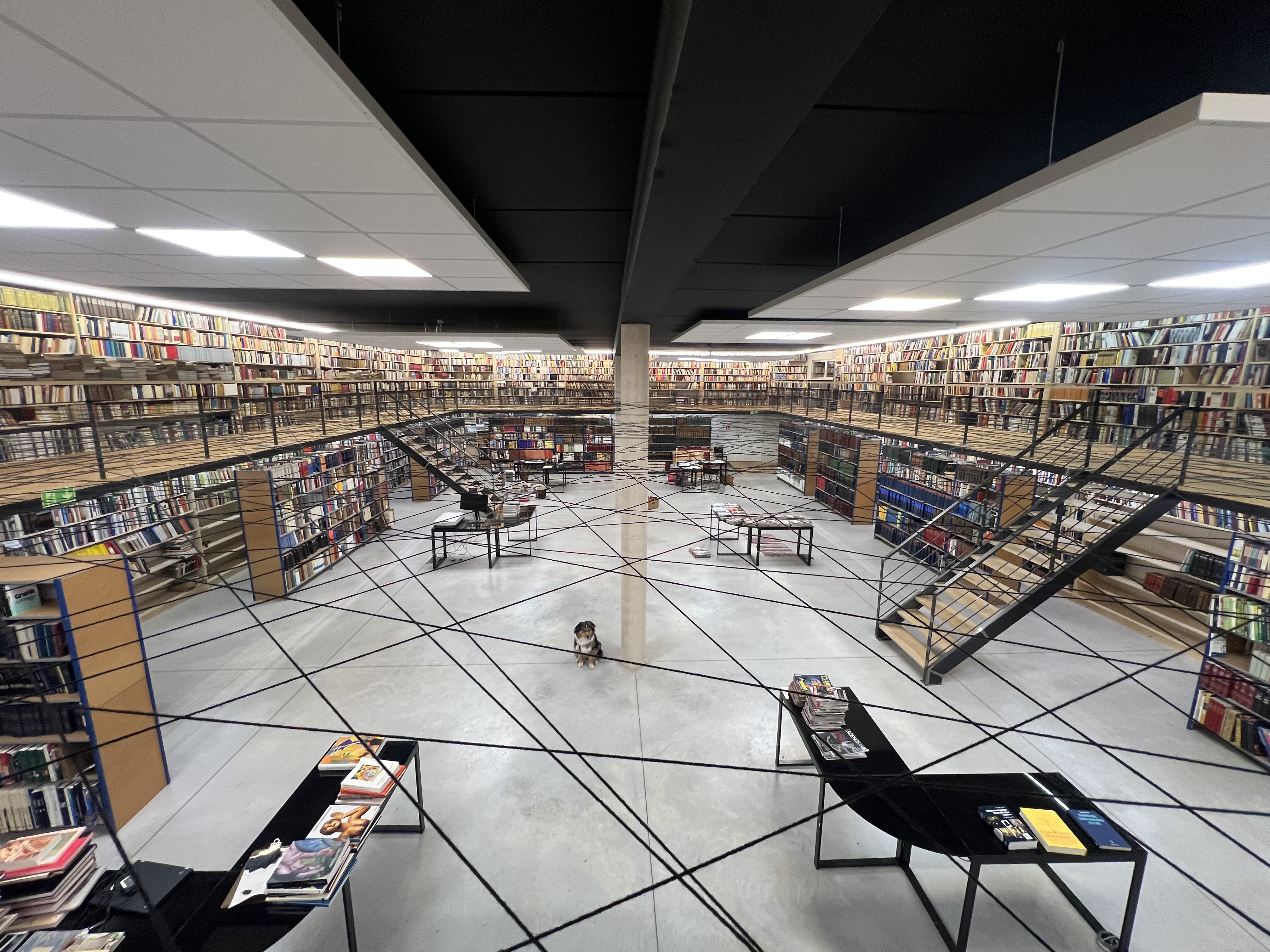 Bibliothek | Bild Nr.60