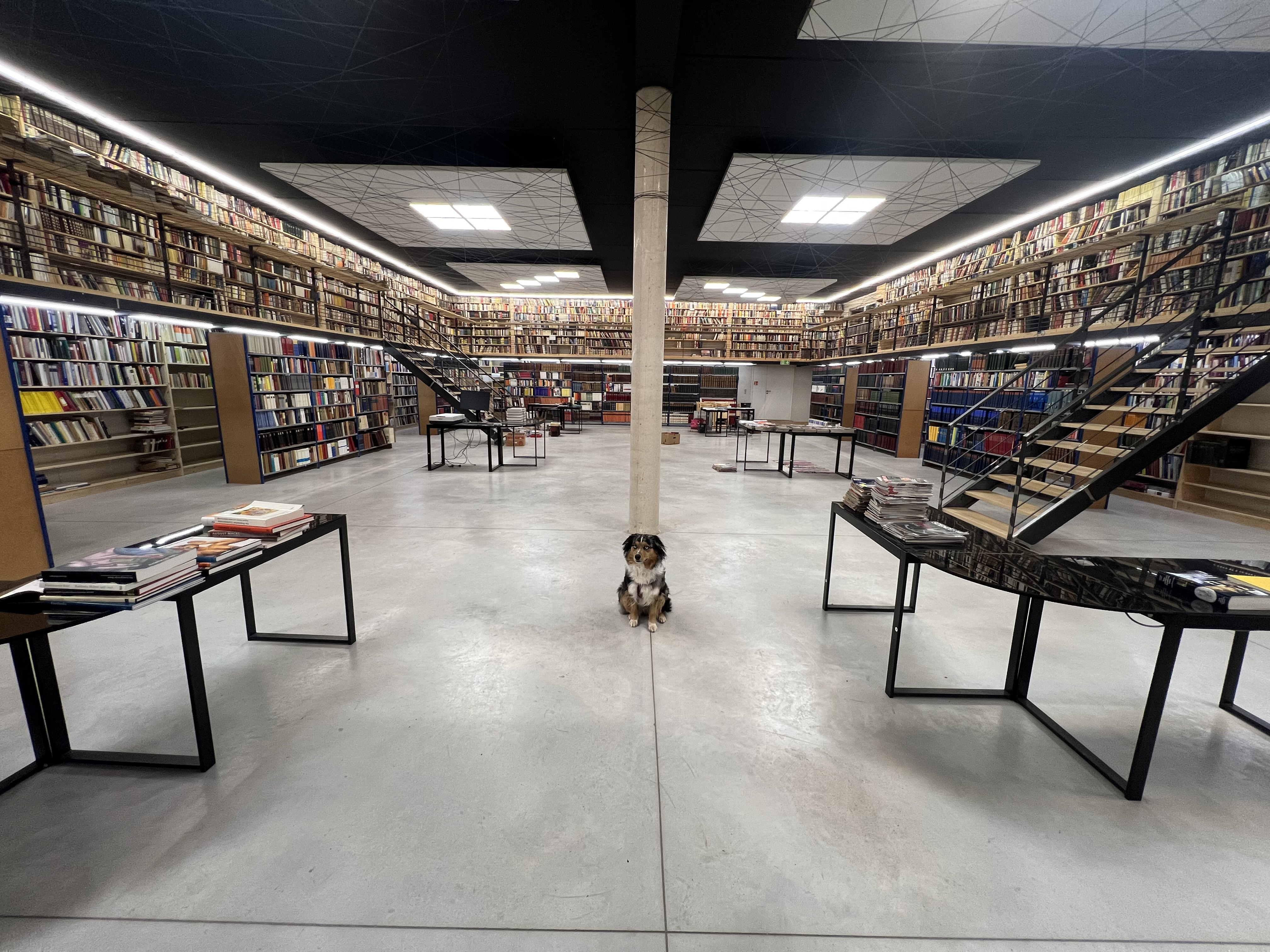 Bibliothek | Bild Nr.61