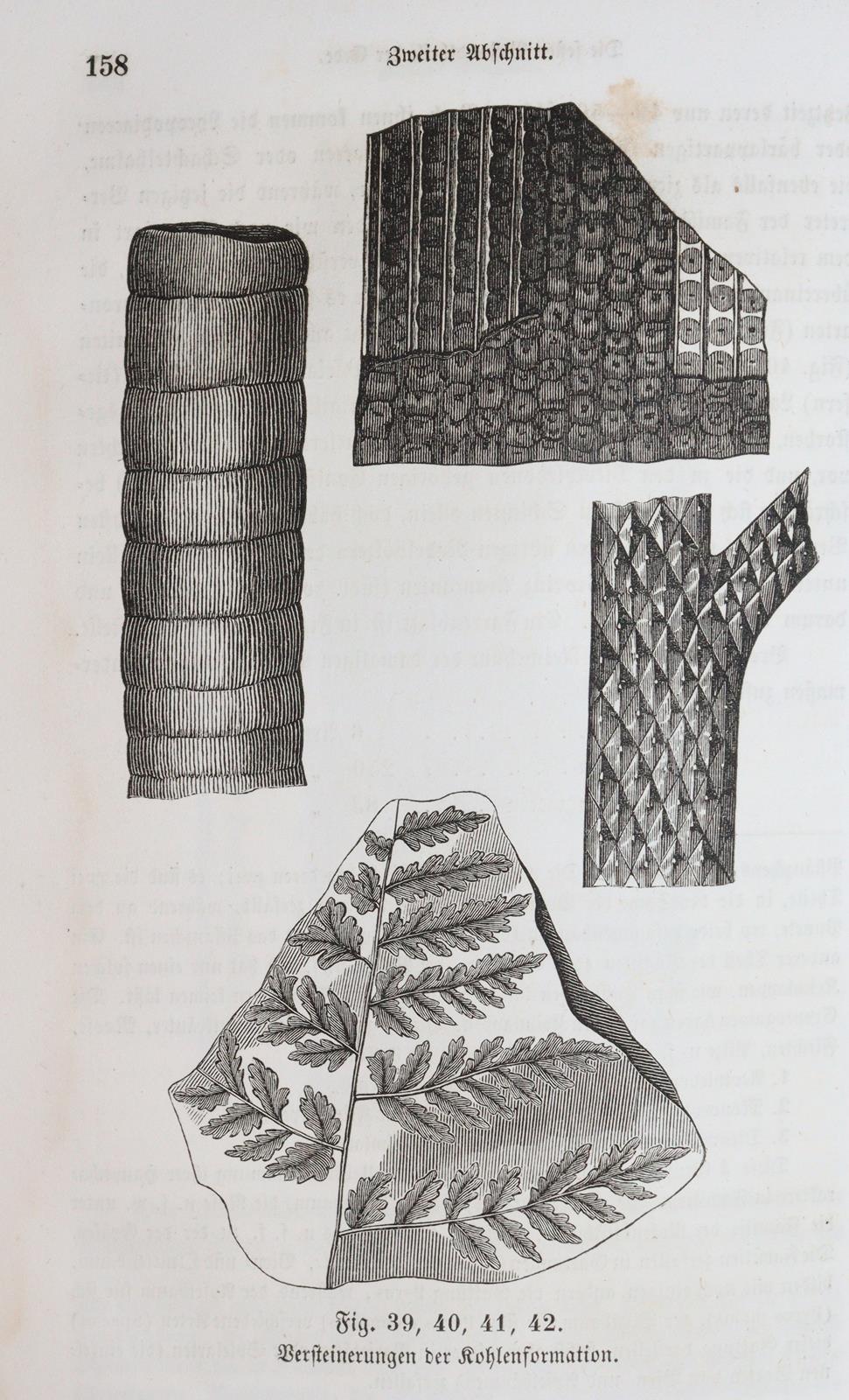 Rückgänge aus | Bild Nr.18