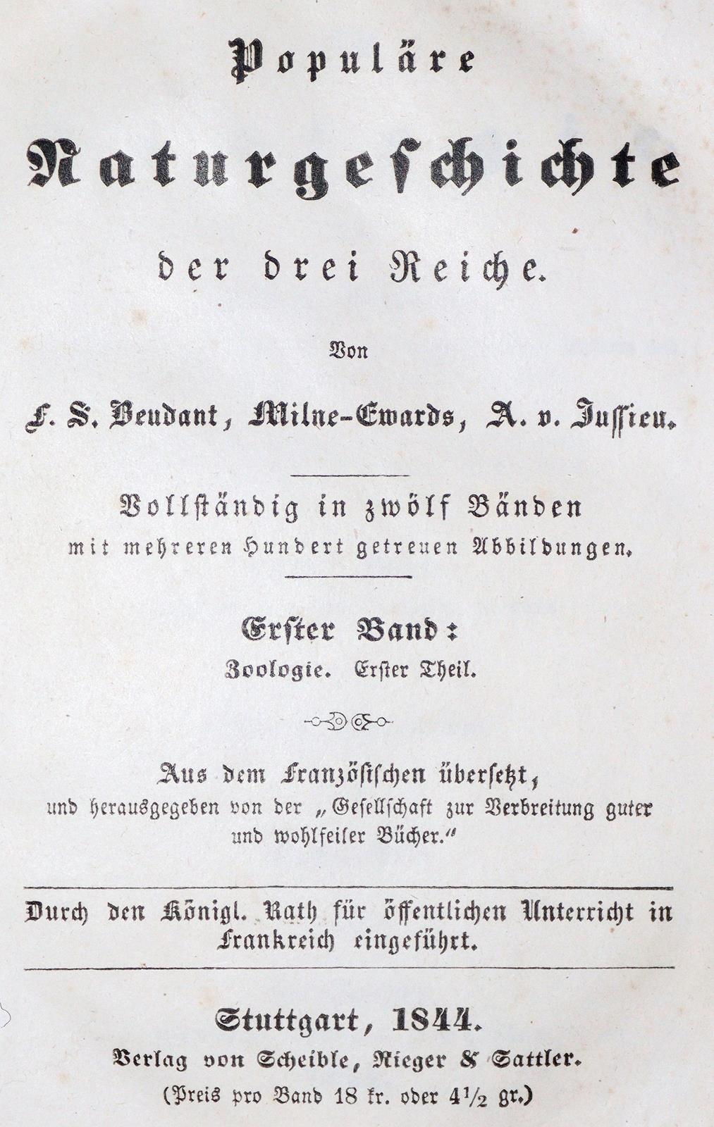 Konvolut | Bild Nr.1