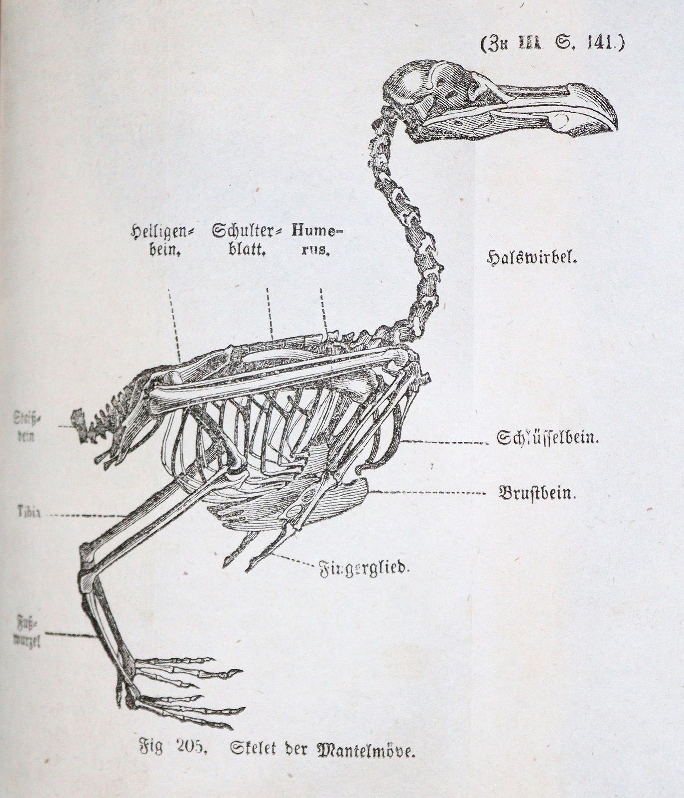 Konvolut | Bild Nr.3