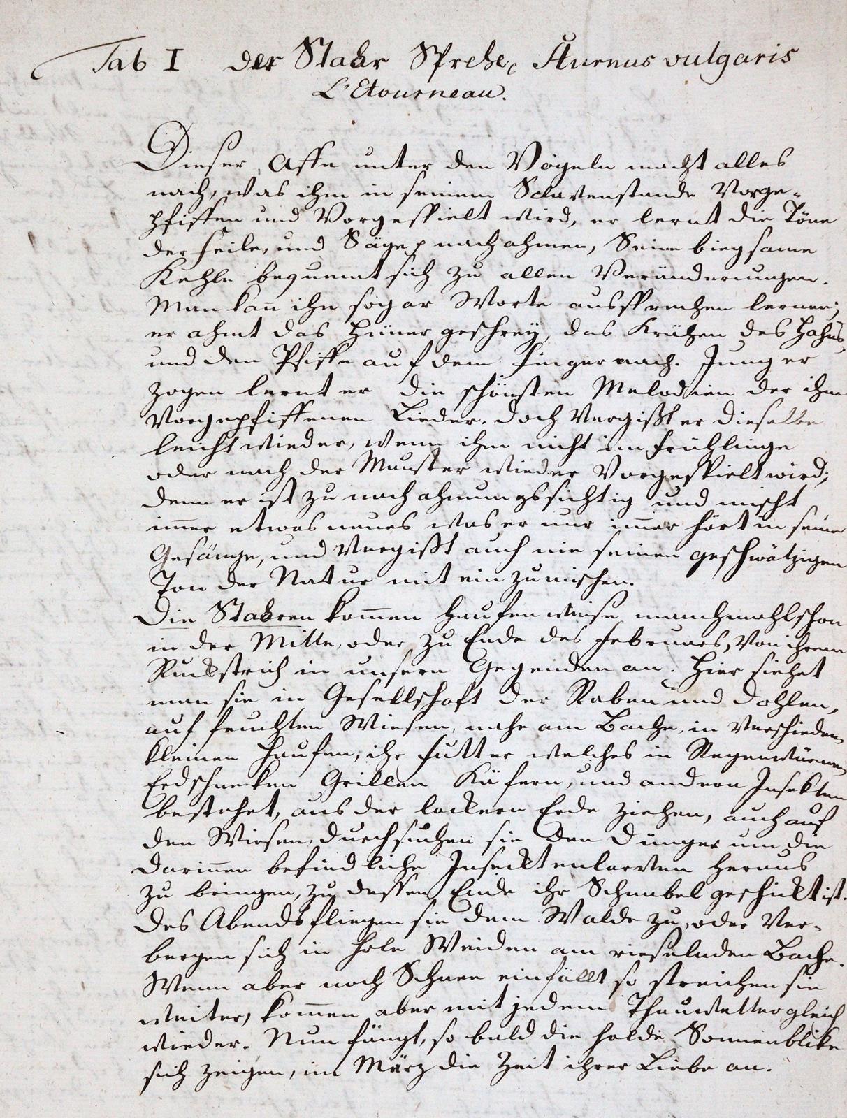 Konvolut | Bild Nr.2