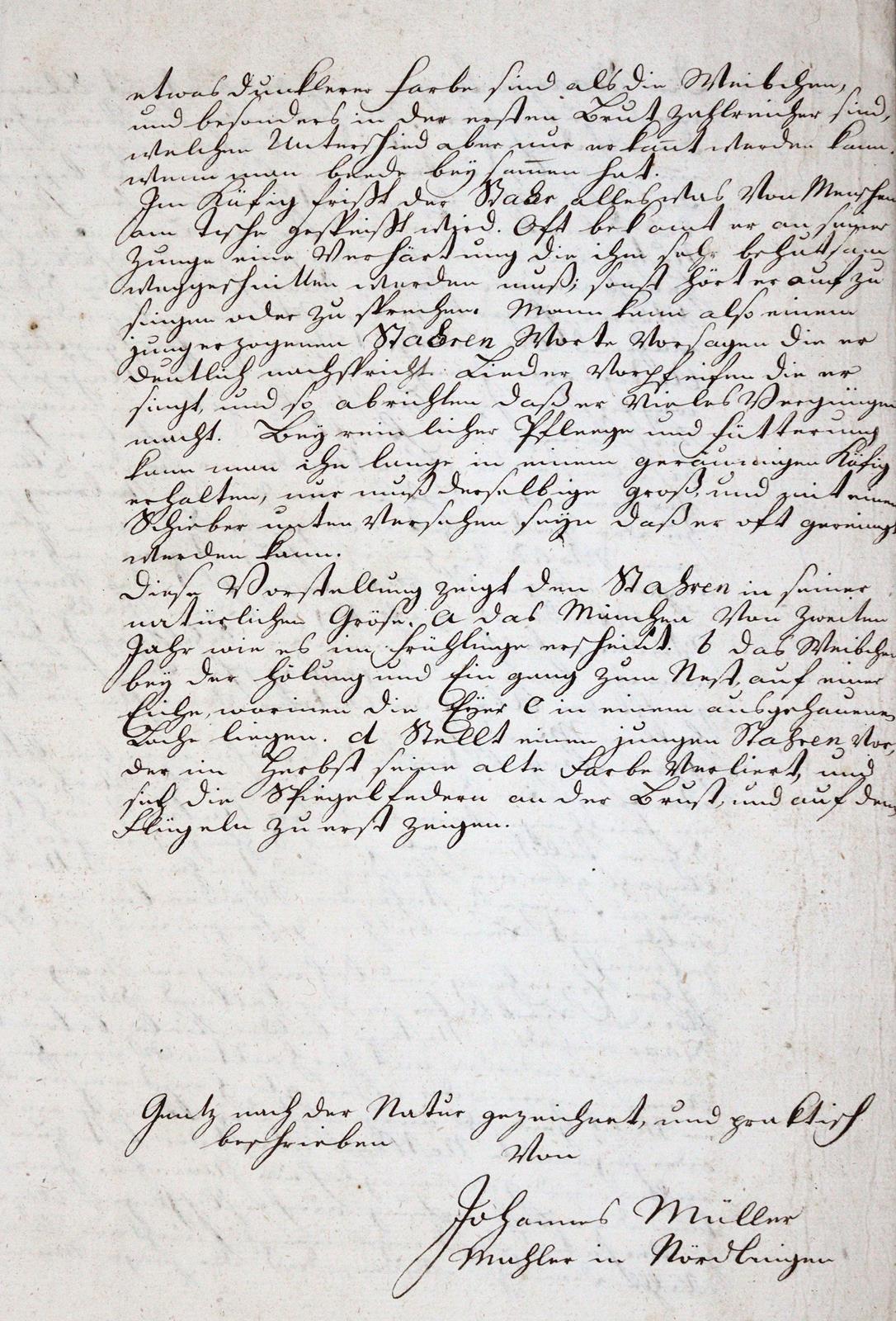 Konvolut | Bild Nr.3