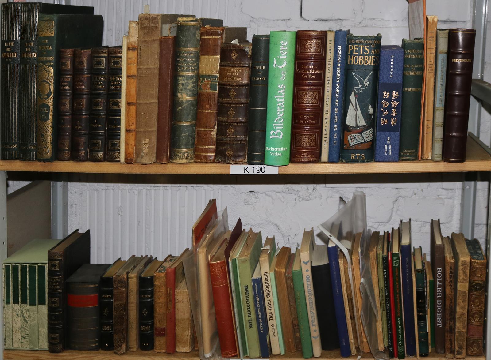 Konvolut | Bild Nr.2