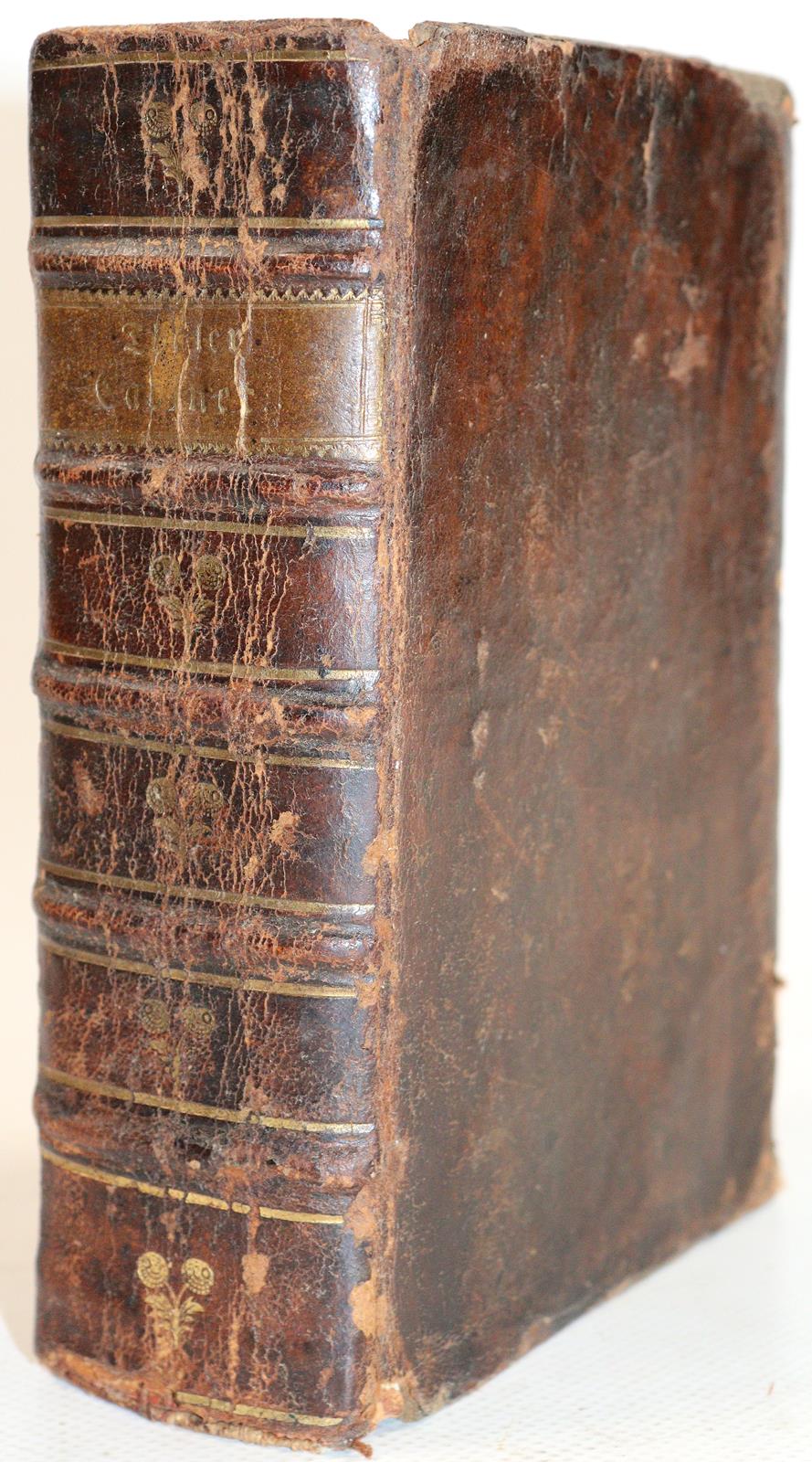 (Lilienthal,M.). | Bild Nr.3