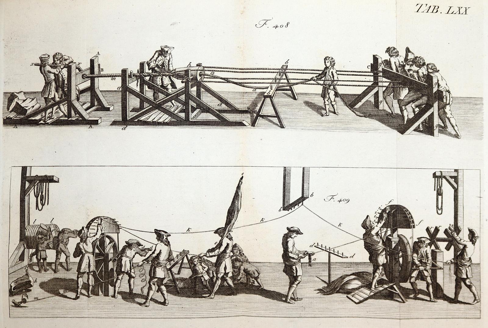 Röding,J.H. | Bild Nr.6