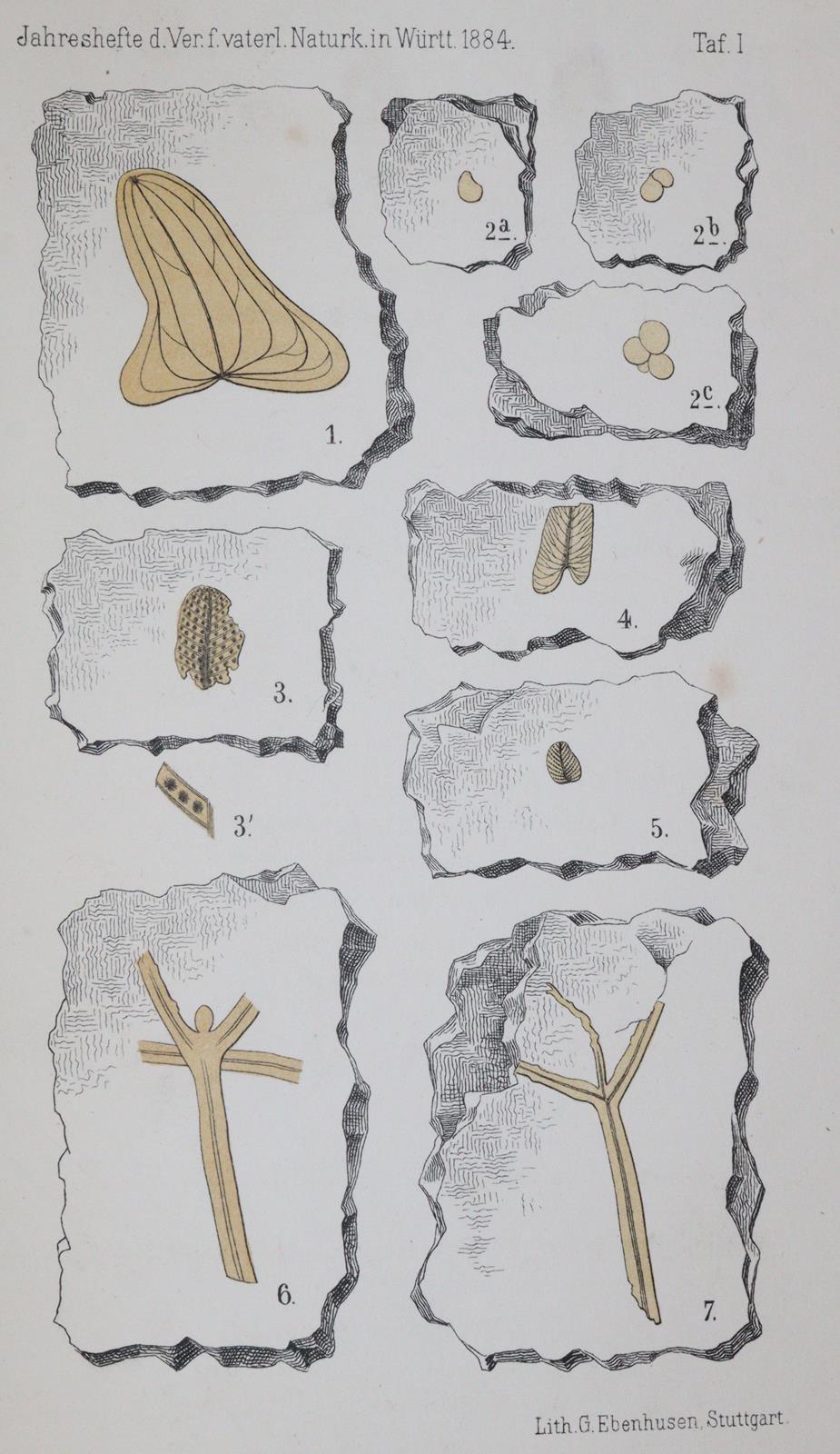 Jahreshefte | Bild Nr.2