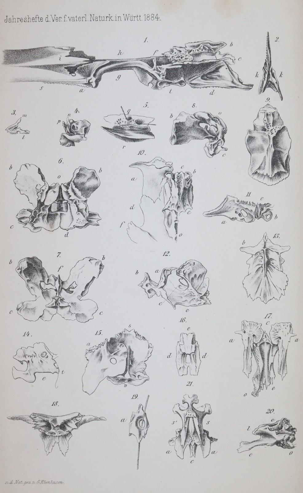 Jahreshefte | Bild Nr.3