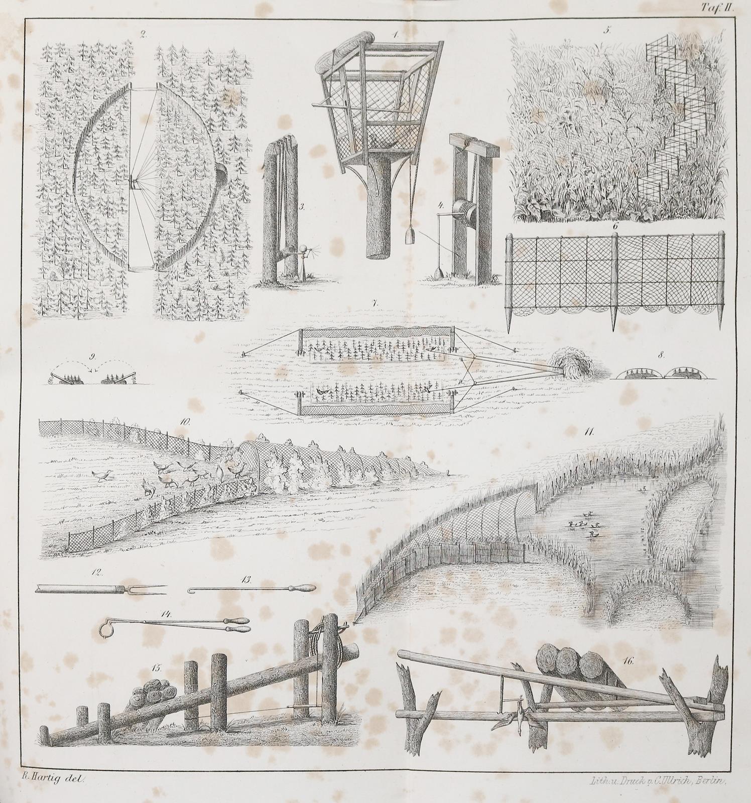 Hartig,G.L. | Bild Nr.1