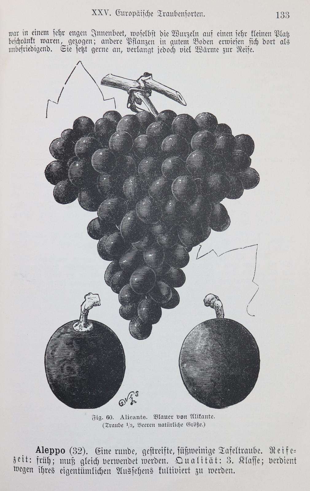 Barron,A.F. | Bild Nr.1