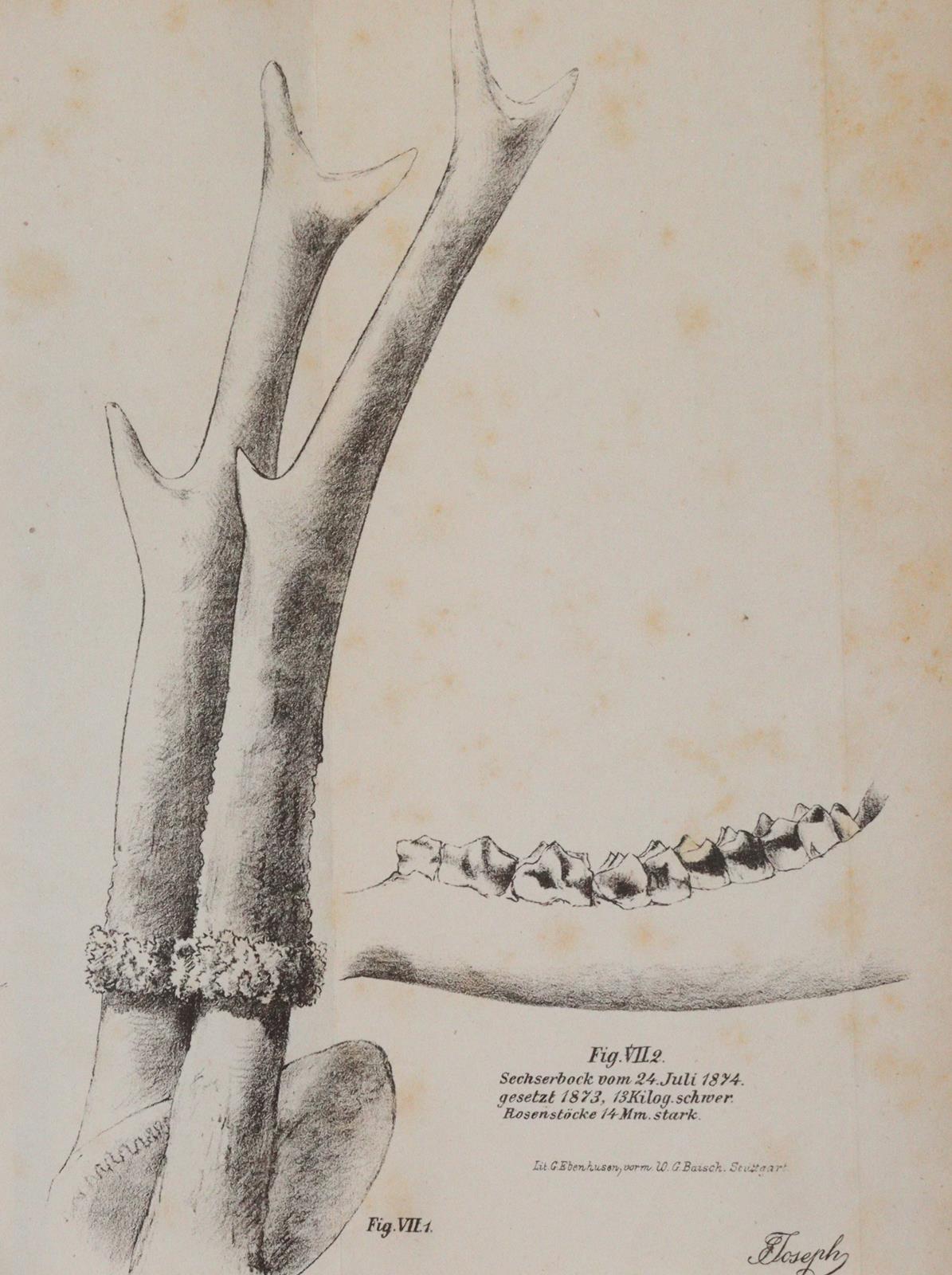 Georgika. | Bild Nr.3