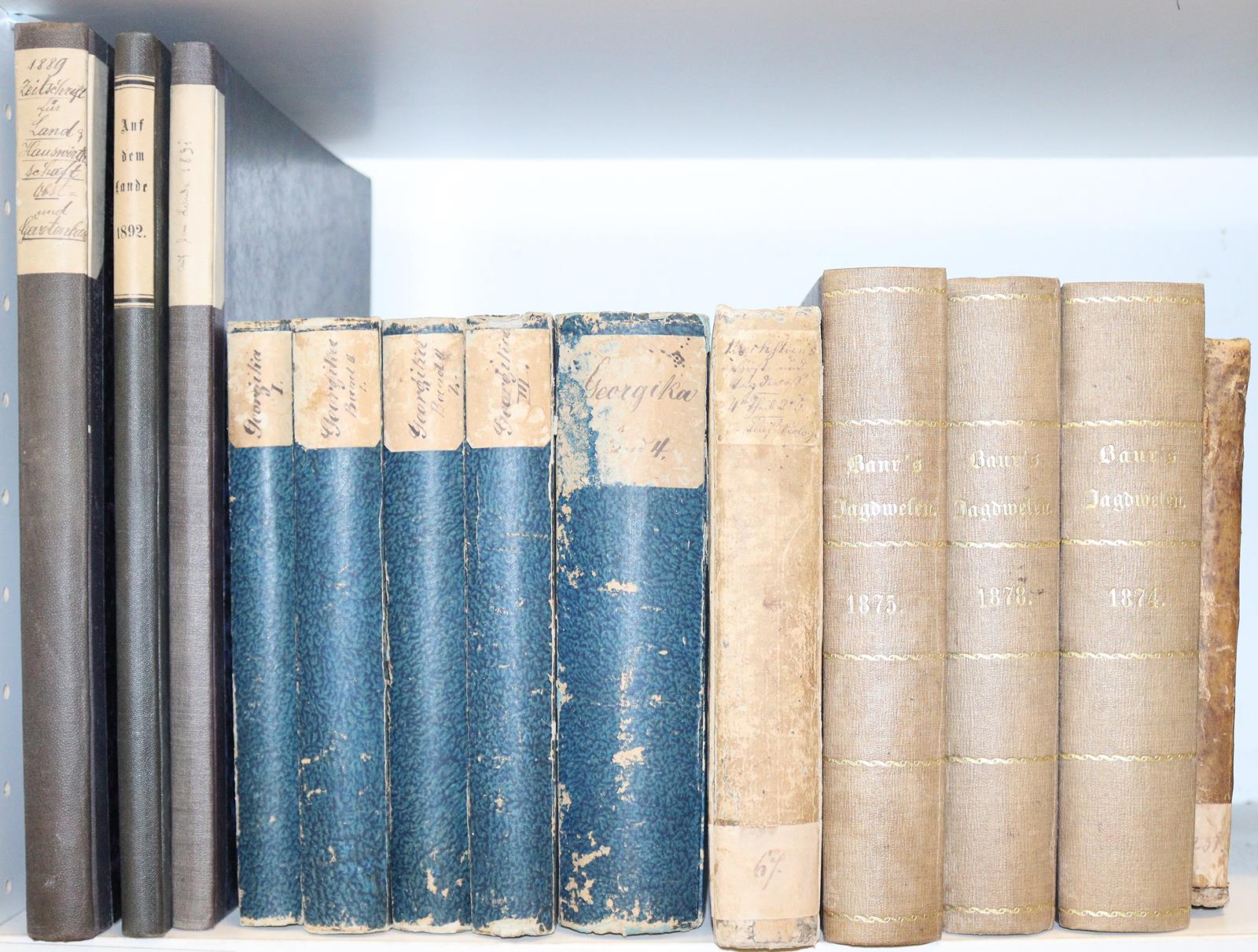 Georgika. | Bild Nr.4