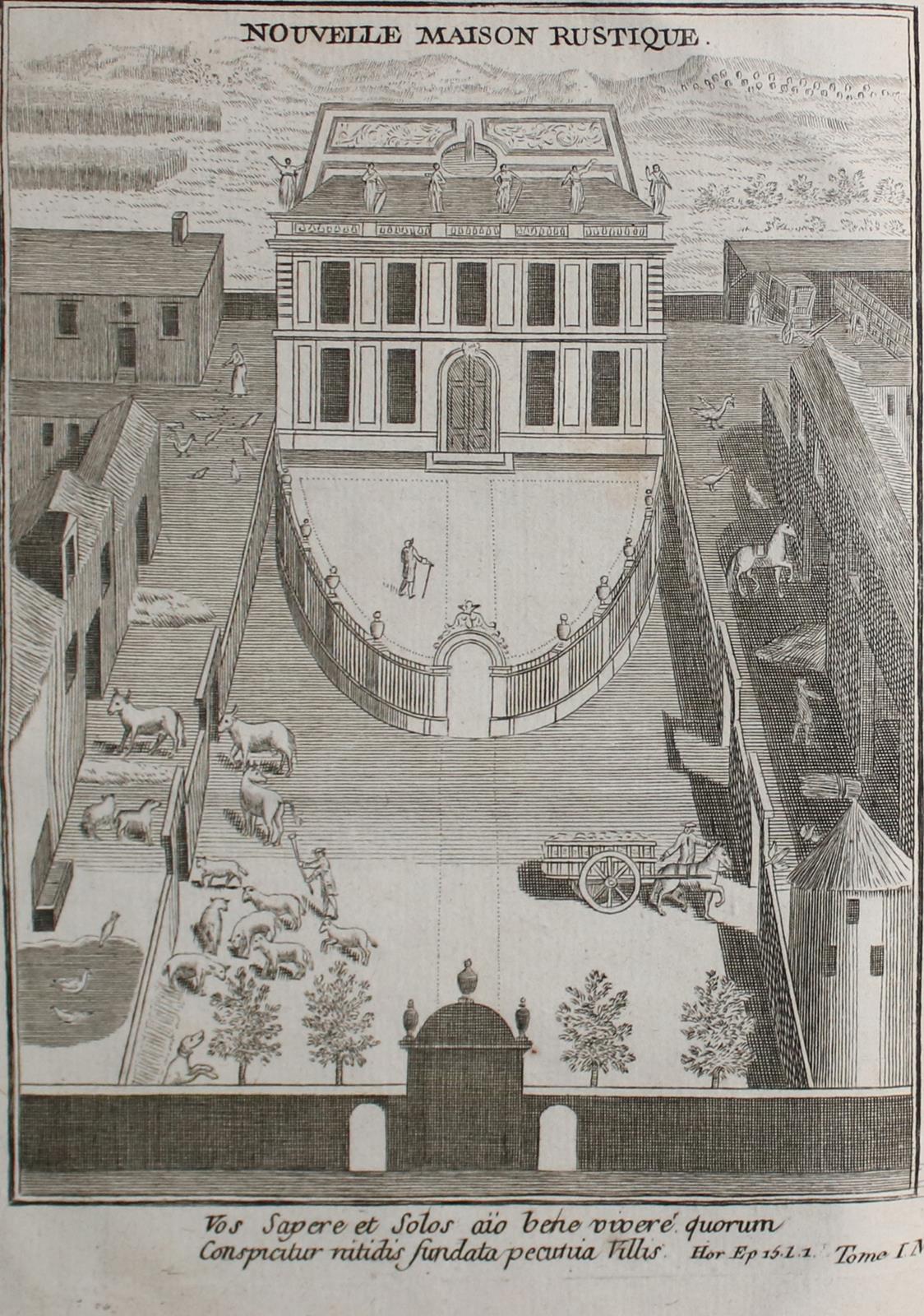 Liger,(L.). | Bild Nr.3