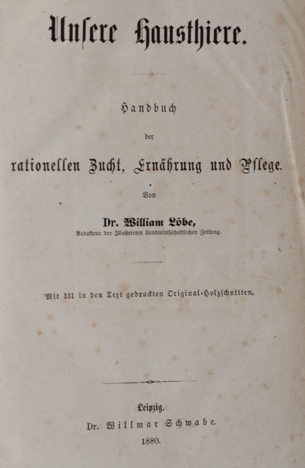 Baldamus,A.C.E. | Bild Nr.1