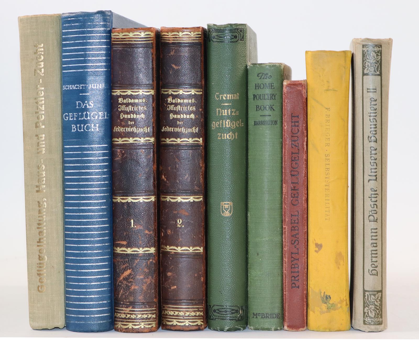 Baldamus,A.C.E. | Bild Nr.2