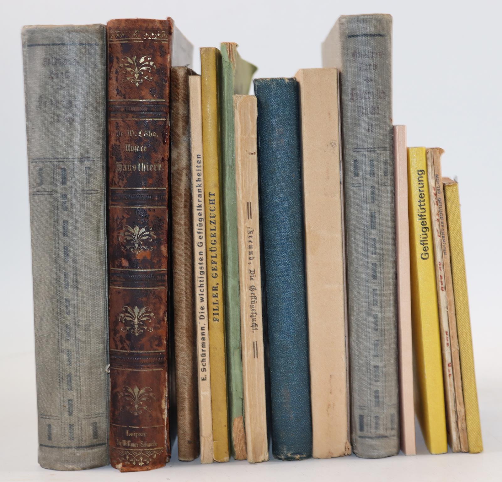 Baldamus,A.C.E. | Bild Nr.4