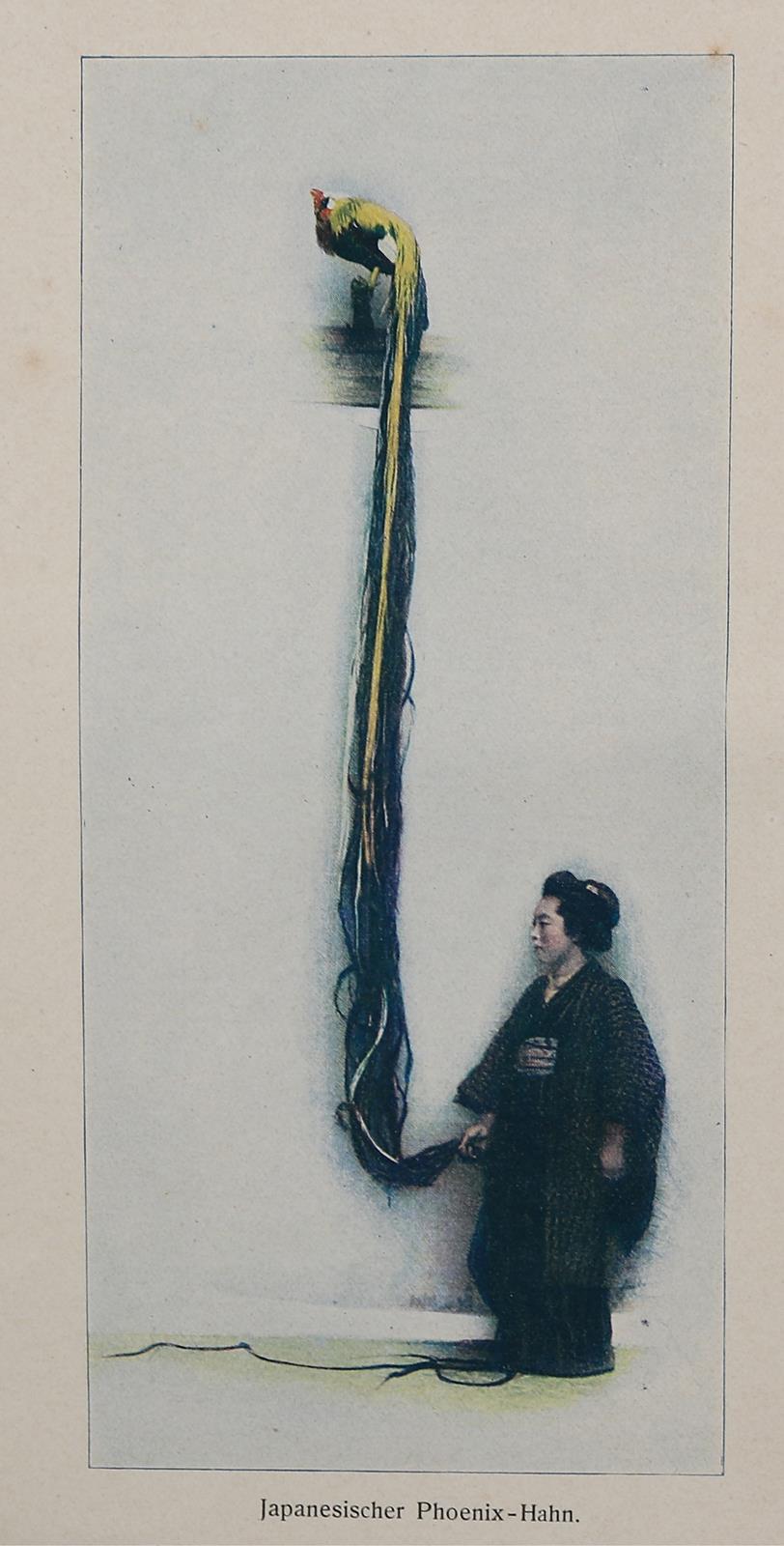 Beeck,A. | Bild Nr.1