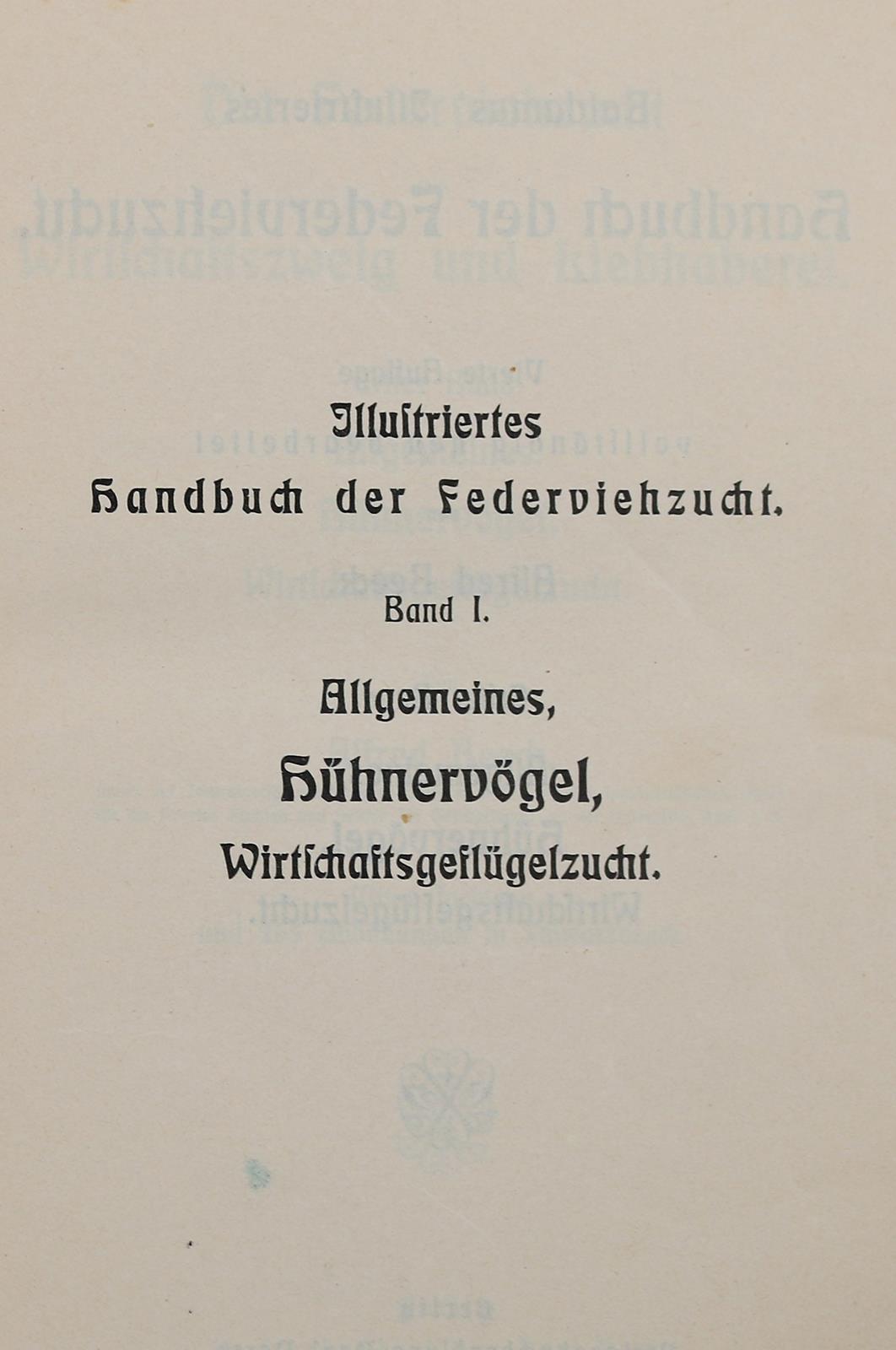 Beeck,A. | Bild Nr.2