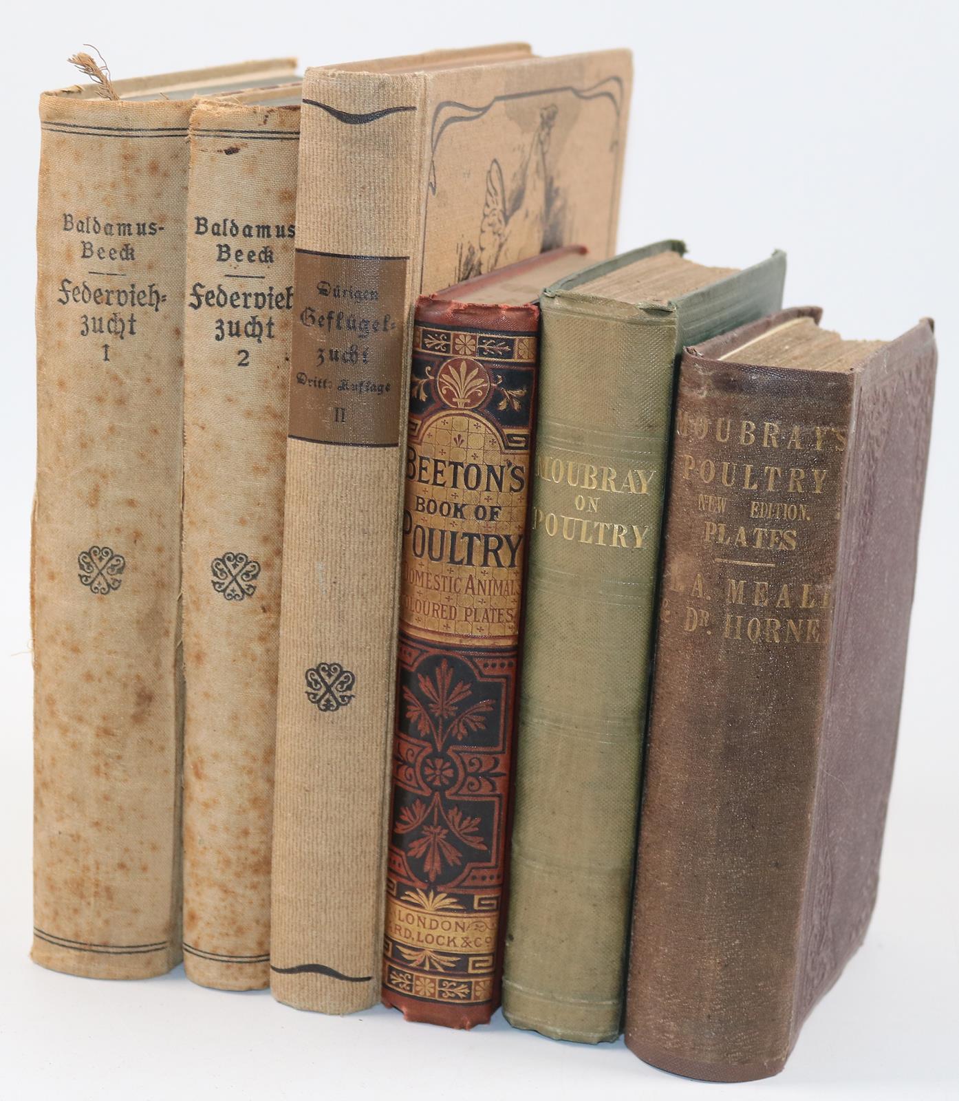 Beeck,A. | Bild Nr.4