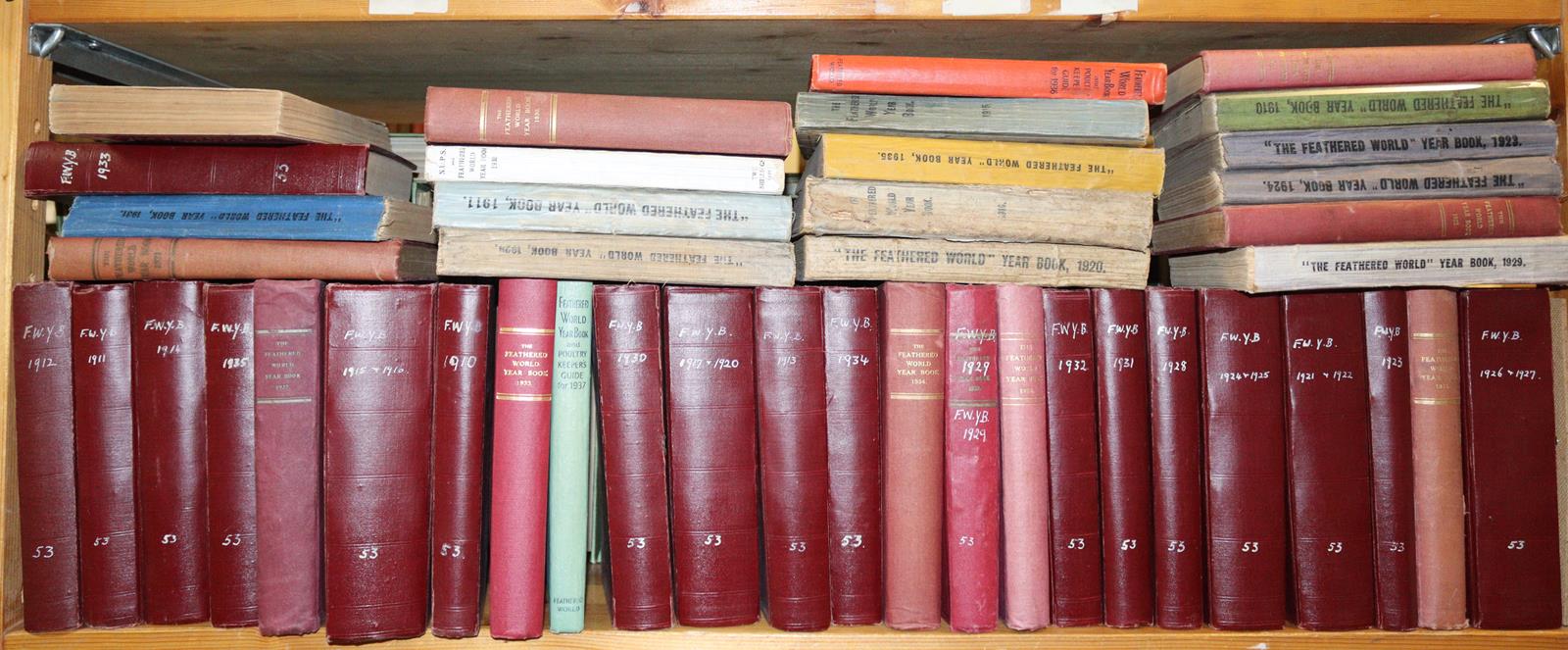 Feathered World, The. | Bild Nr.4