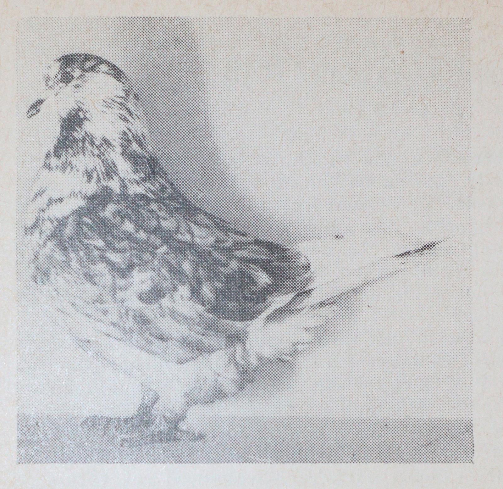 Jahrbuch | Bild Nr.2