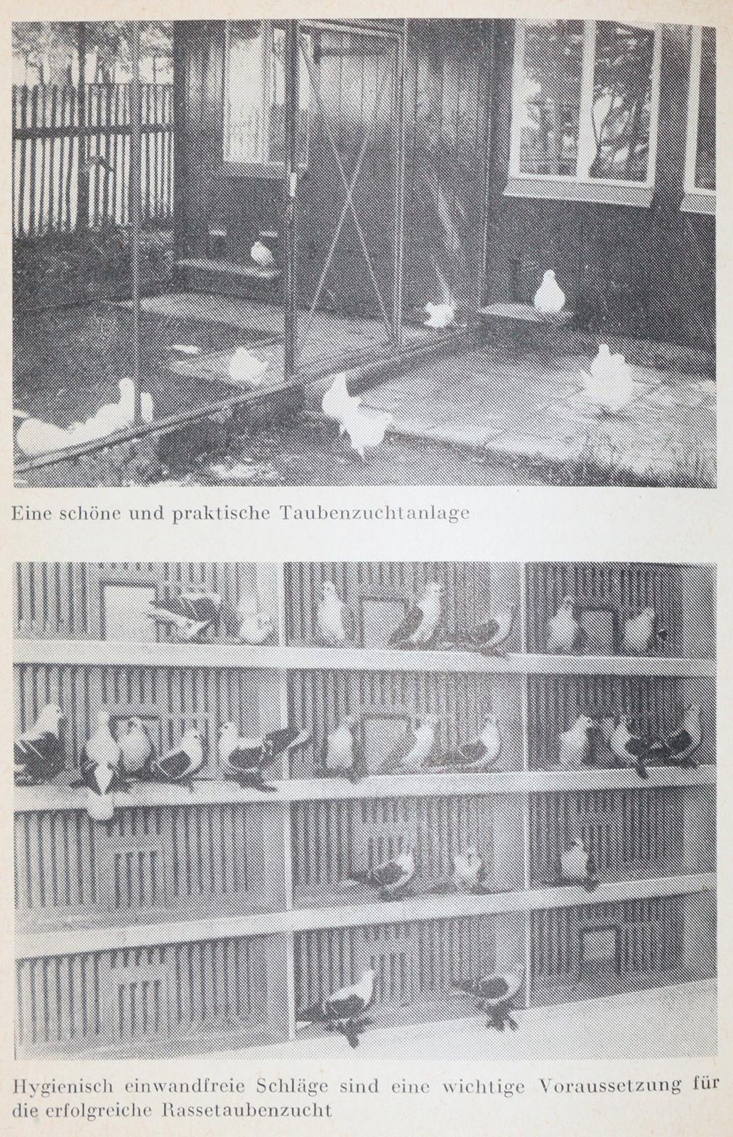 Jahrbuch | Bild Nr.4