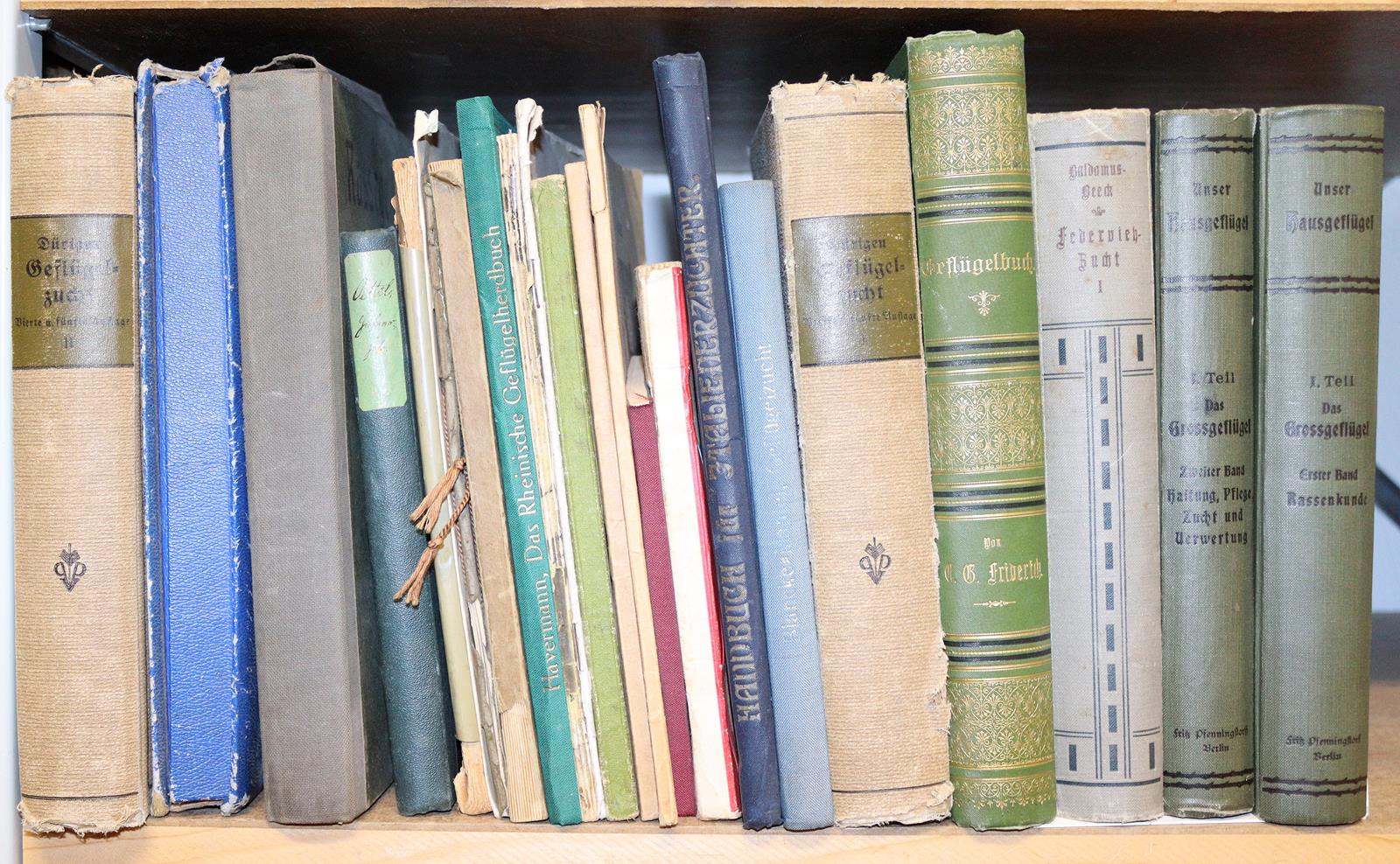 Zander,K. | Bild Nr.6