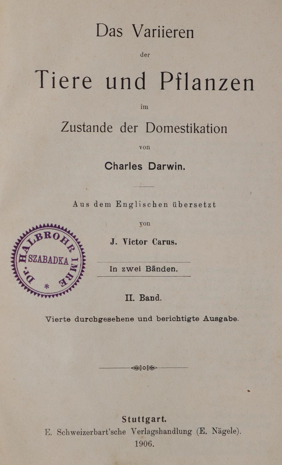 Tacchi,A. | Bild Nr.2