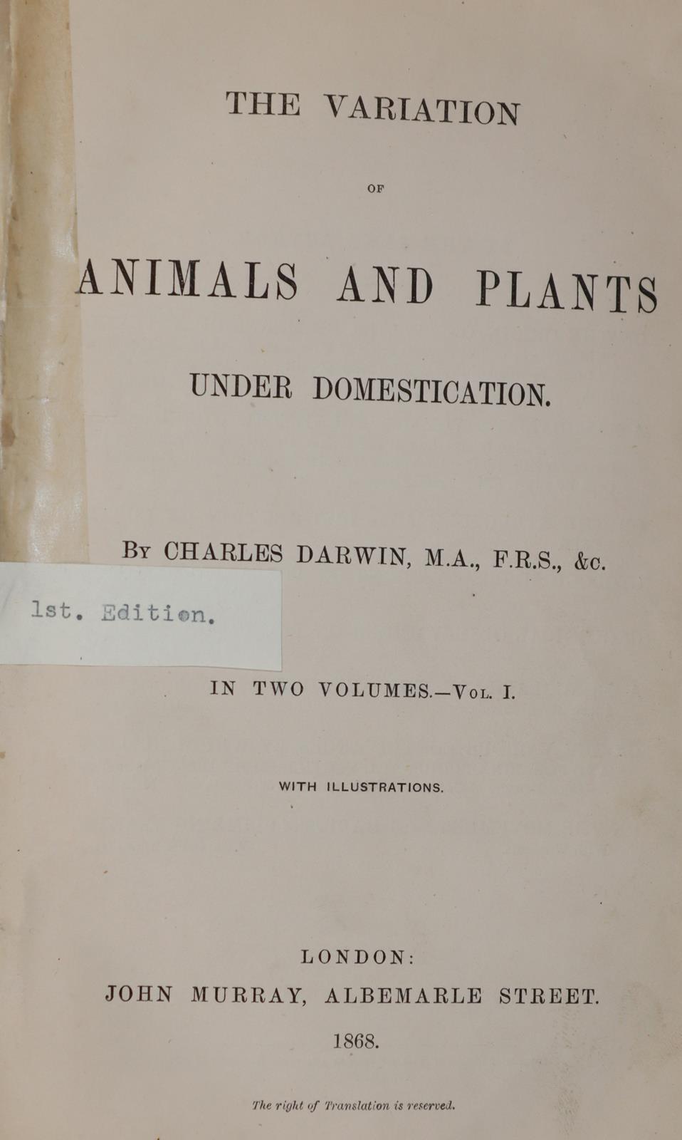 Tacchi,A. | Bild Nr.3