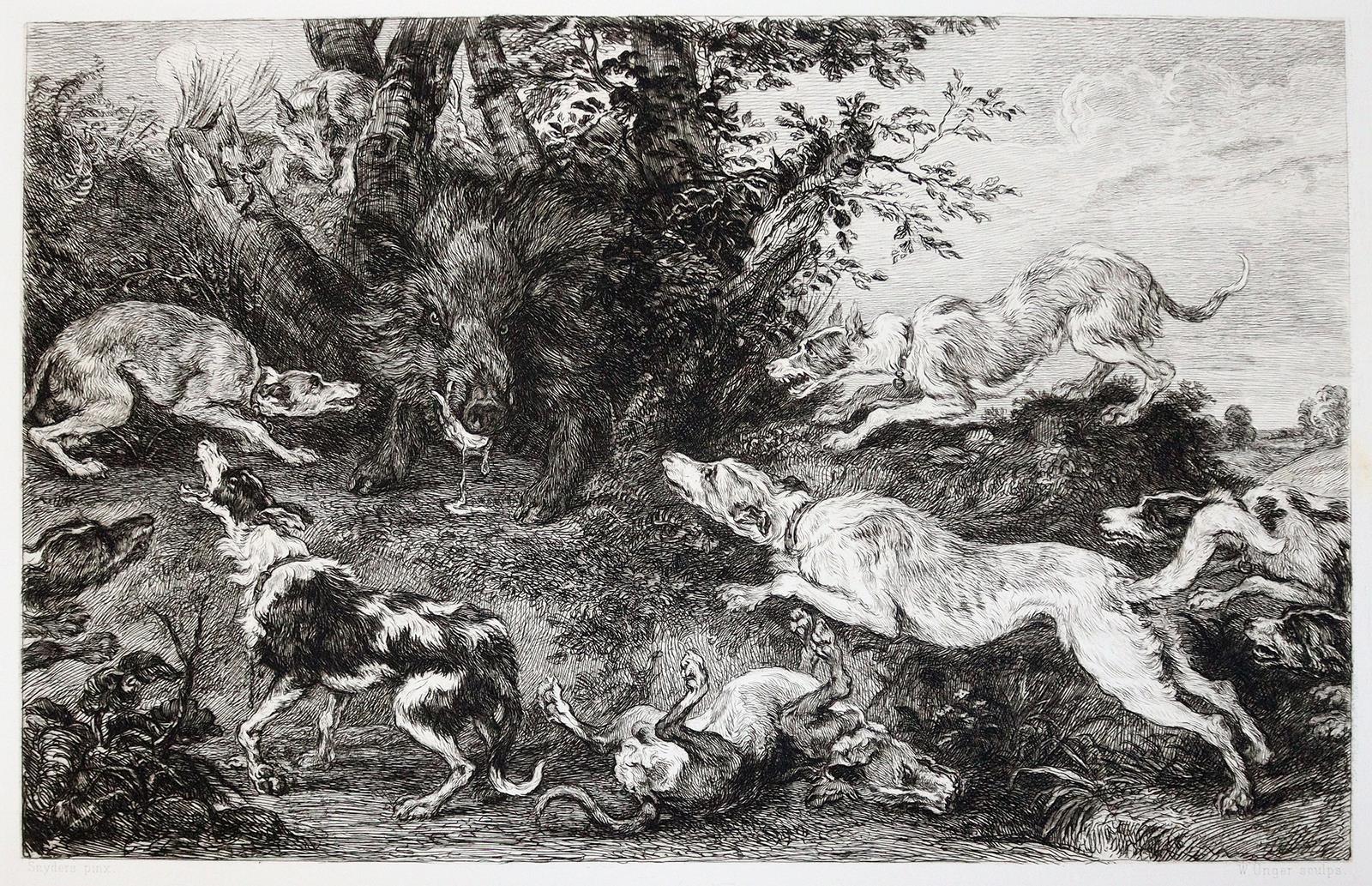 Unger, W., | Bild Nr.2