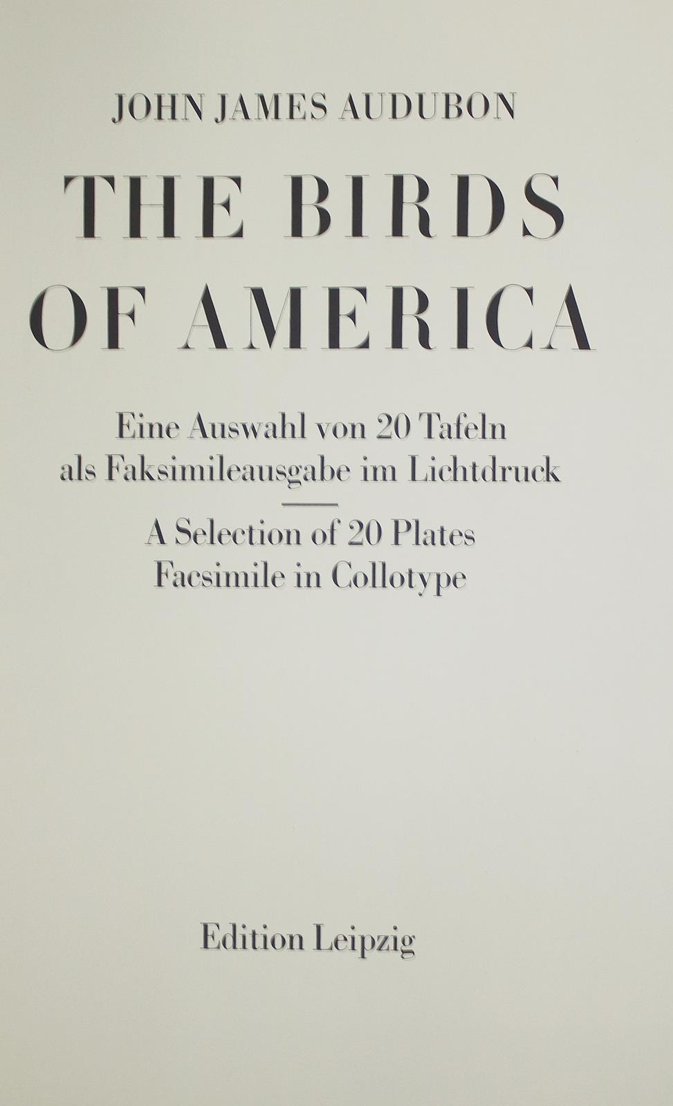 Audubon,J.J. | Bild Nr.10