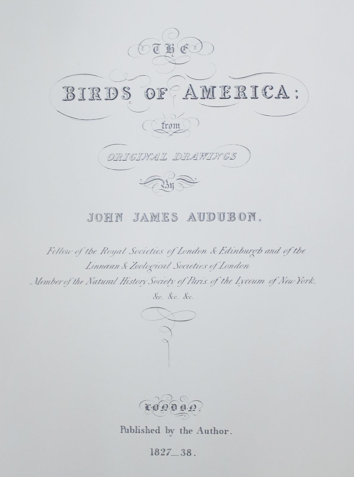 Audubon,J.J. | Bild Nr.11