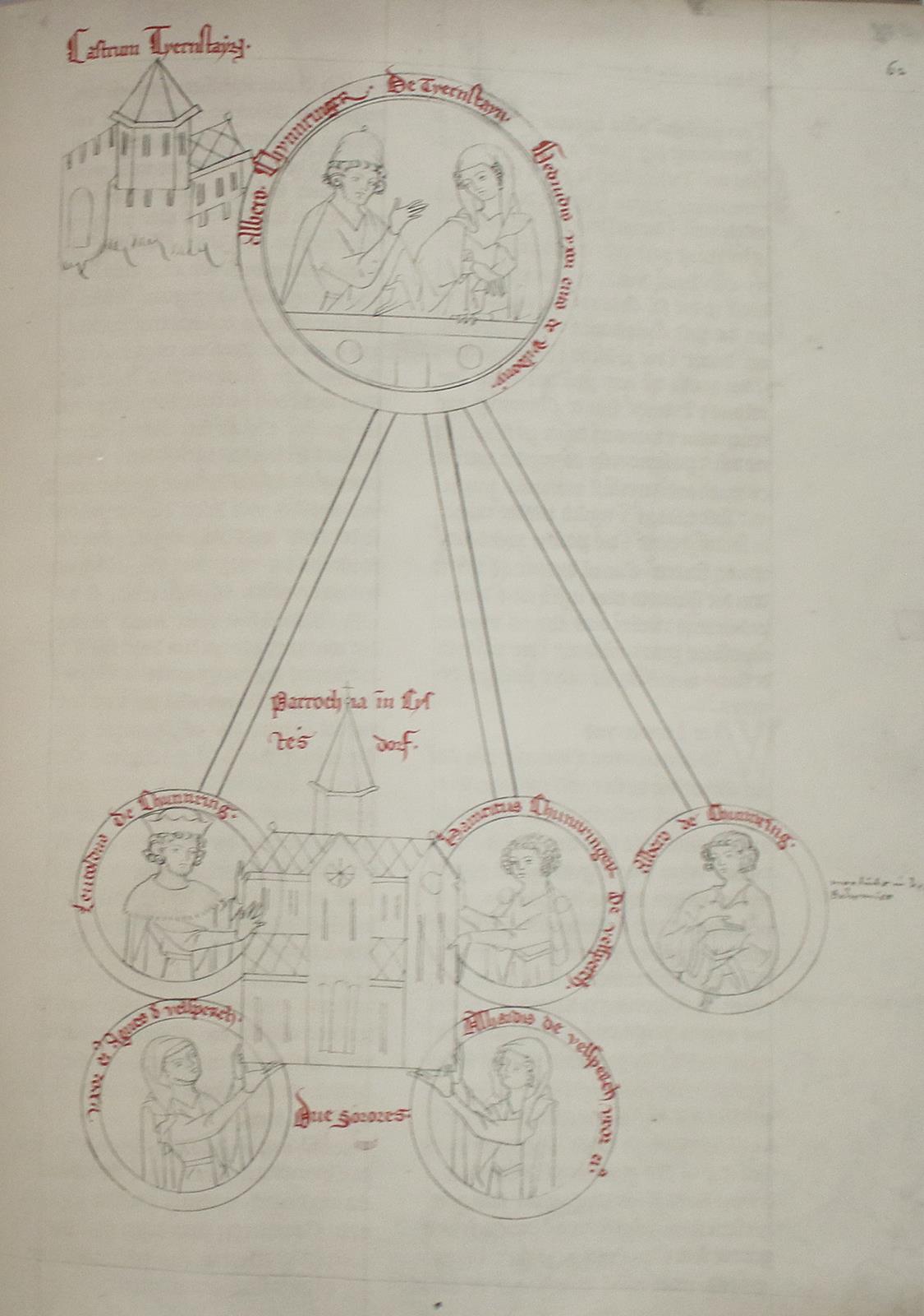 Bärenhaut. | Bild Nr.2