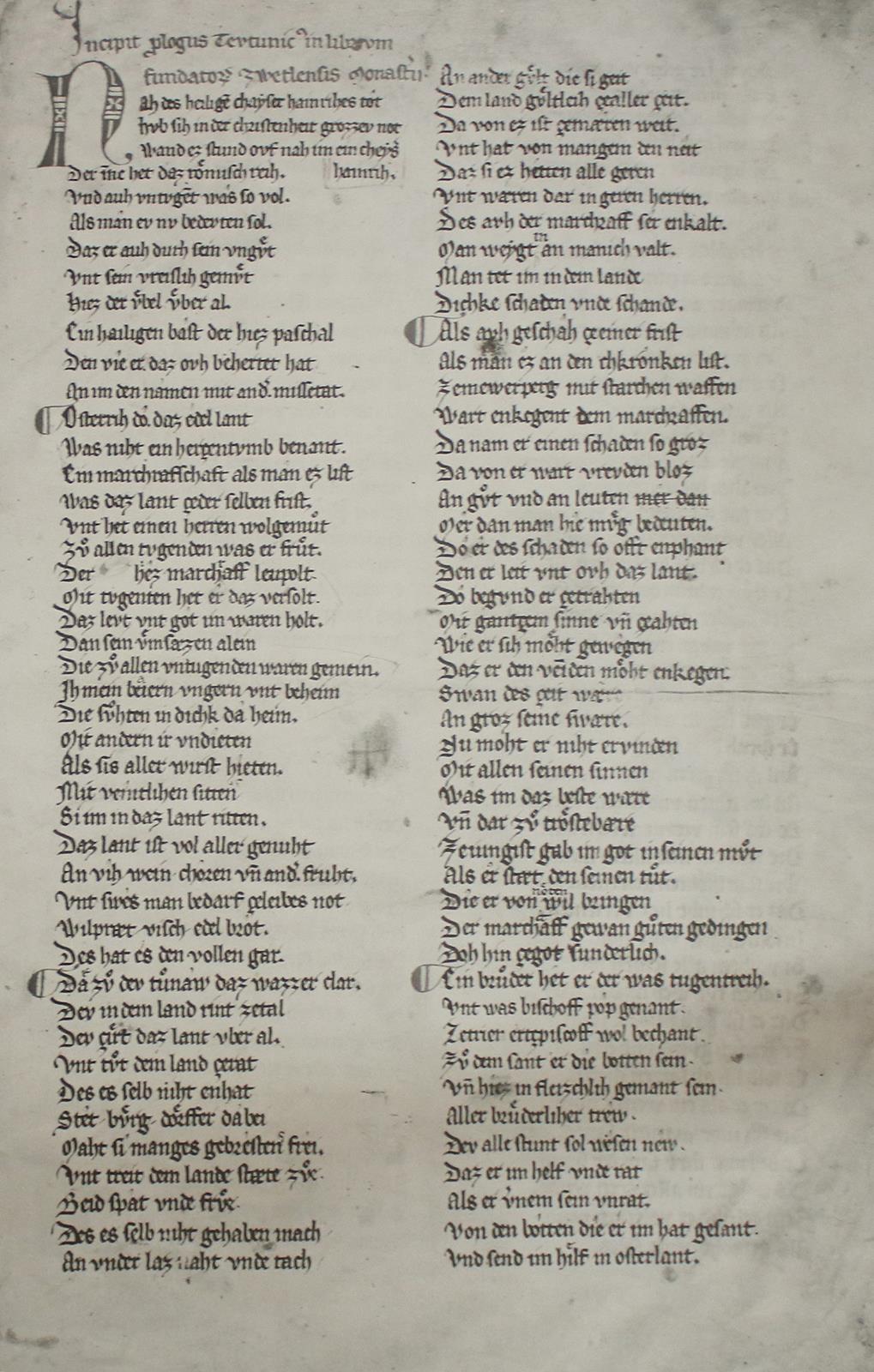 Bärenhaut. | Bild Nr.3