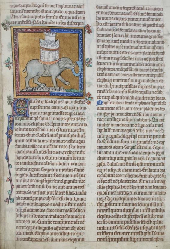 Bestiario di Peterborough. | Bild Nr.1