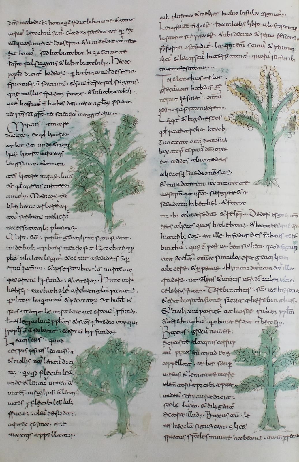 Rabano,M. | Bild Nr.4