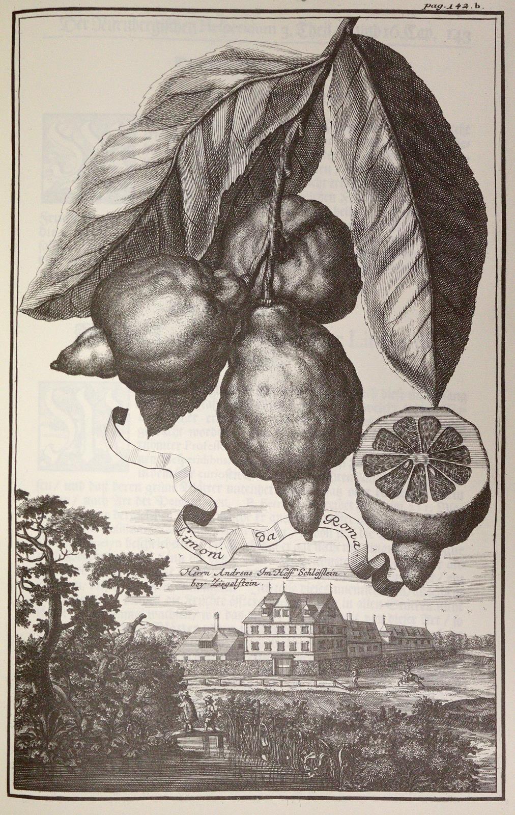 Sammlung | Bild Nr.3