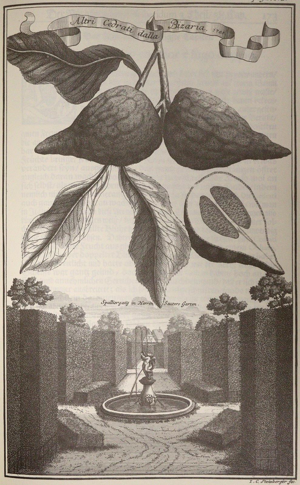 Sammlung | Bild Nr.4